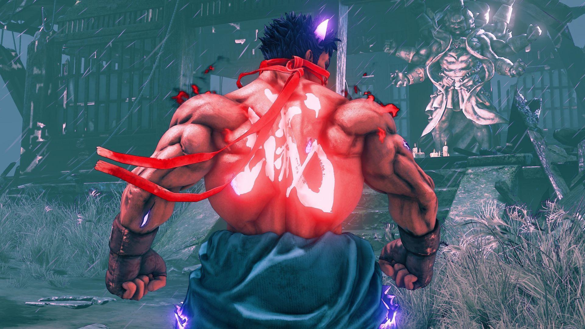 1920x1080 Desktop wallpaper fighter, video game, street fighter v, HD image, picture, background, e1e081