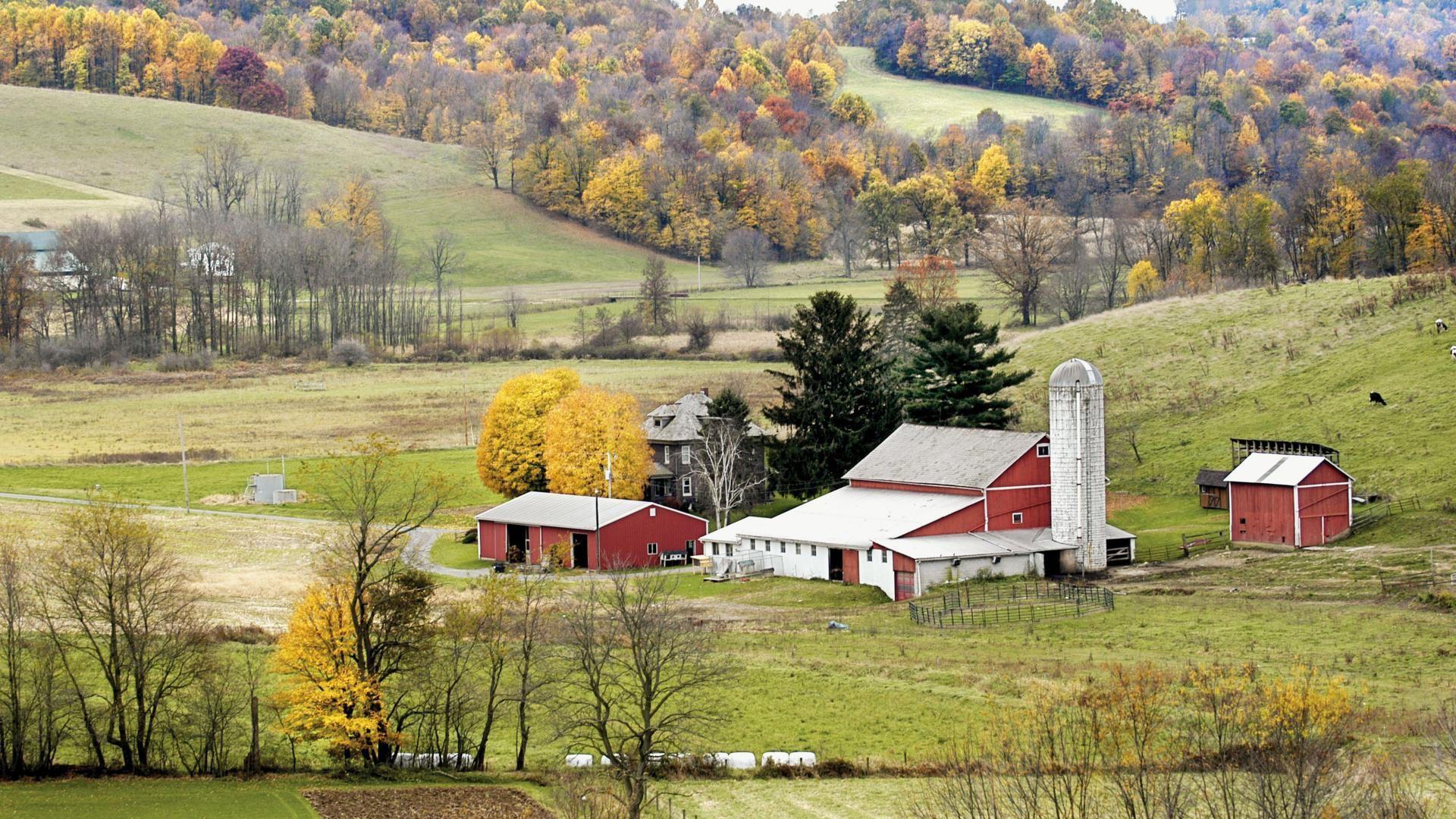 Темнолесская ферма. Штат Вермонт США глубинка. Штат Теннесси деревни. Штат Огайо деревни. Огайо Амиши.