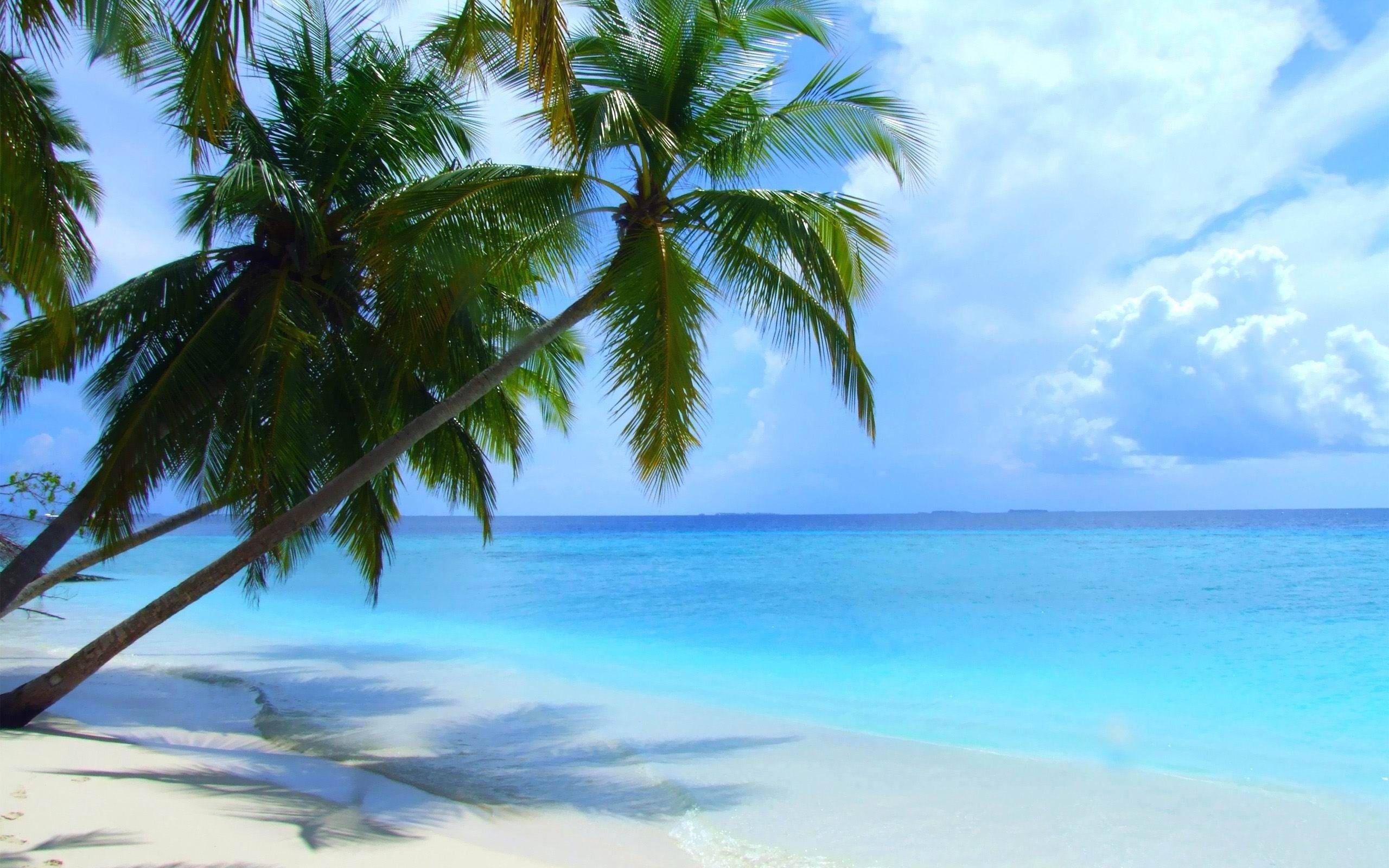2560x1600 Beach Scenery Wallpaper