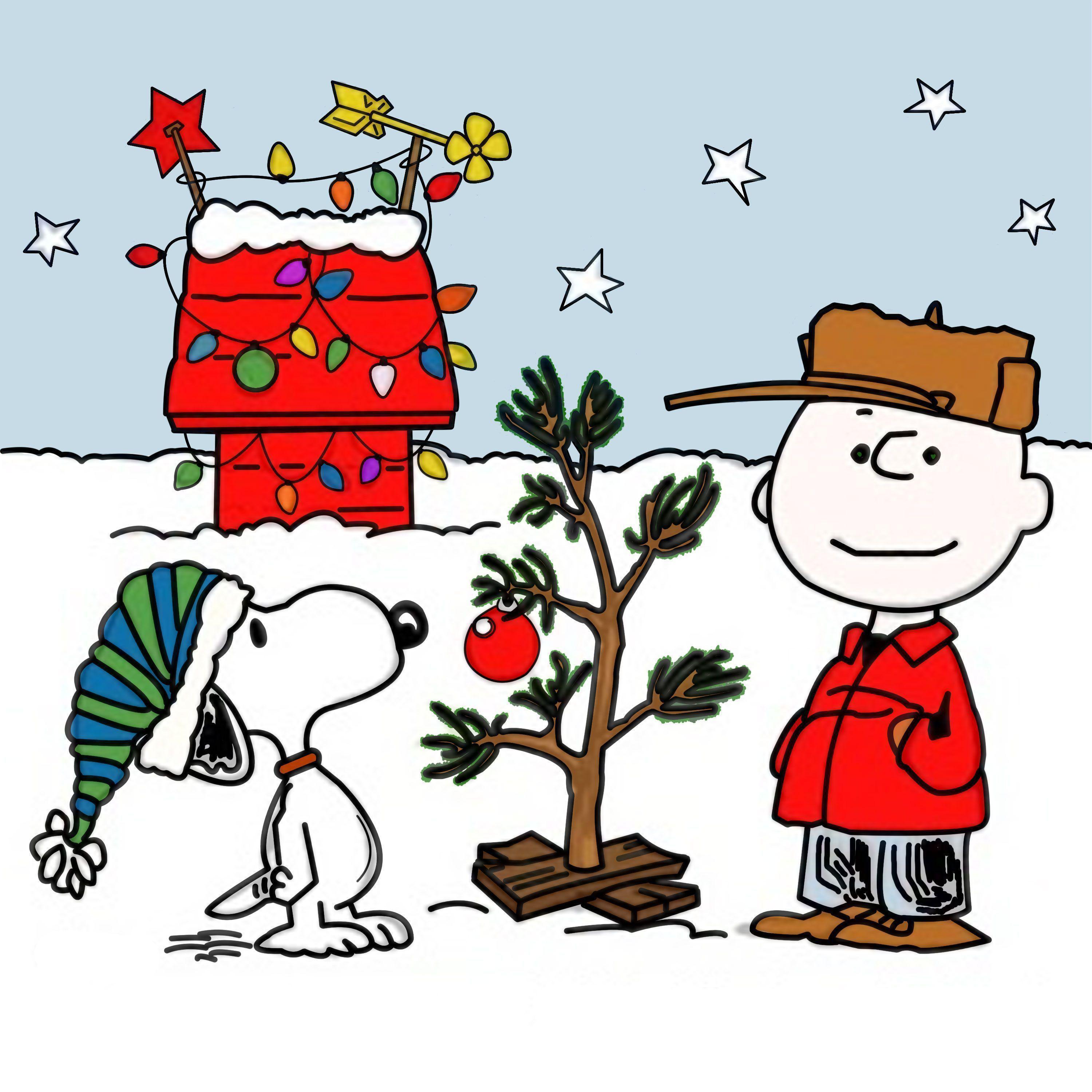 Hình nền độ phân giải cao 3000x3000 Charlie Brown Giáng sinh