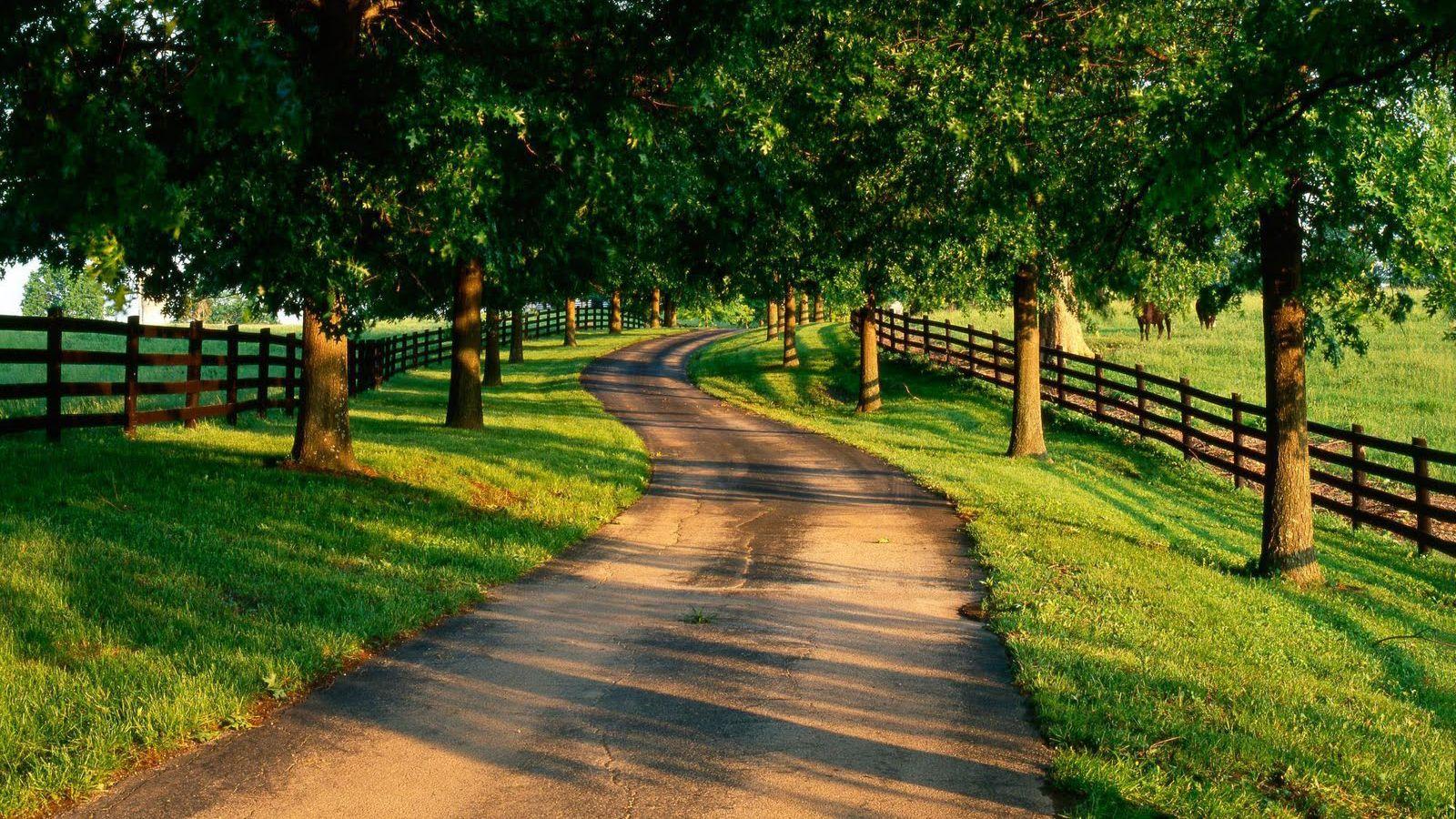 1600x900 Country Roads Wallpaper Pack 581: Country Roads Wallpaper, 37