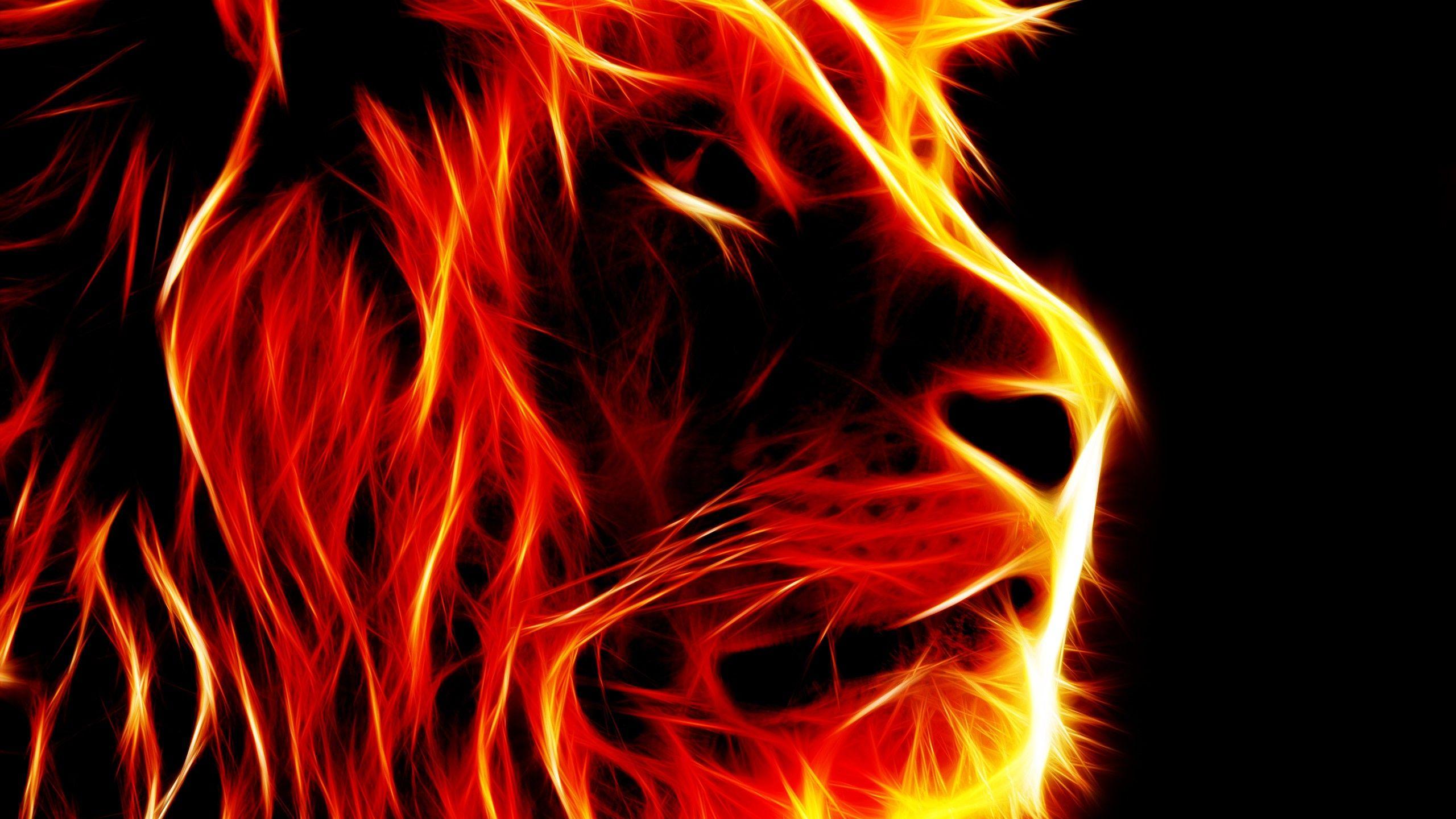 2560x1440 Fire Best HD Wallpaper 36819
