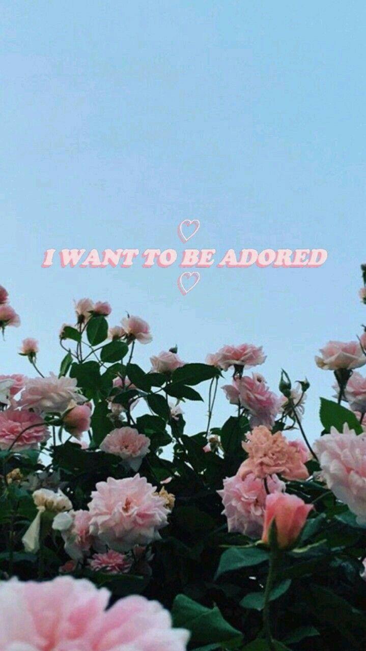 719x1280 iPhone 11 Pastel Aesthetic iPhone Wallpaper HD