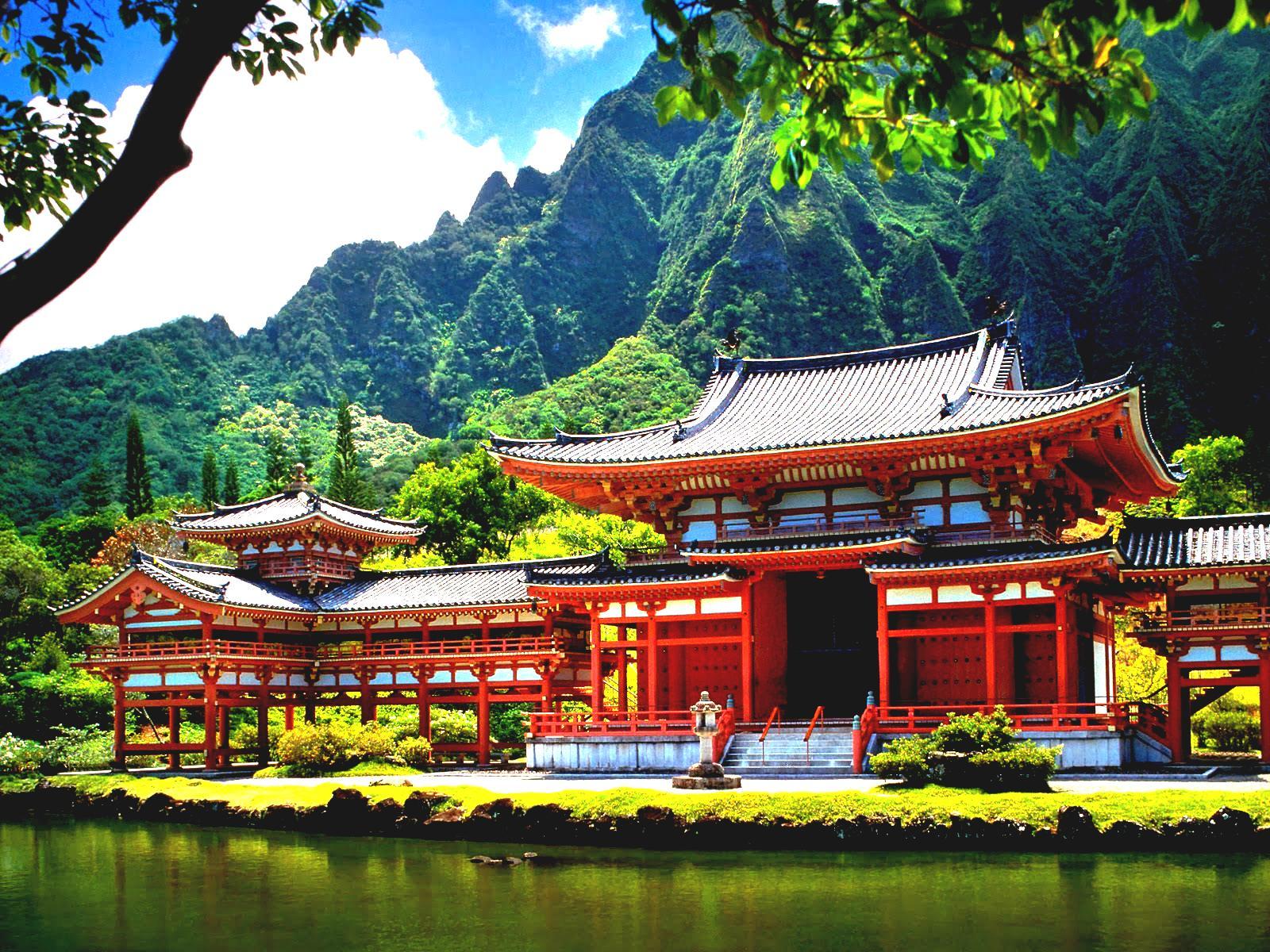 1600x1200 Beautiful Beauty Country Desktop Background Flower Flowers Gallery