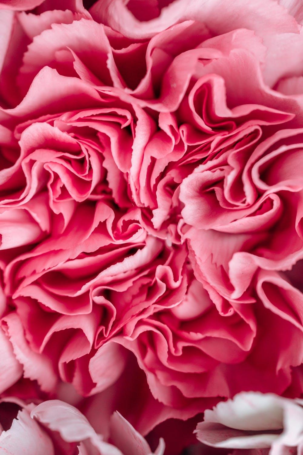 1000x1500 cute Valentine's Day wallpaper for iPhone (free download!)