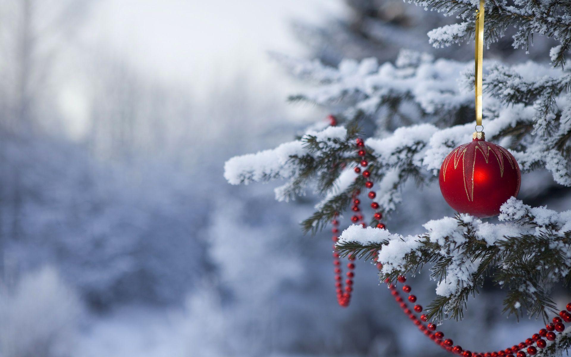 1920x1200 Winter Holiday Desktop Wallpaper