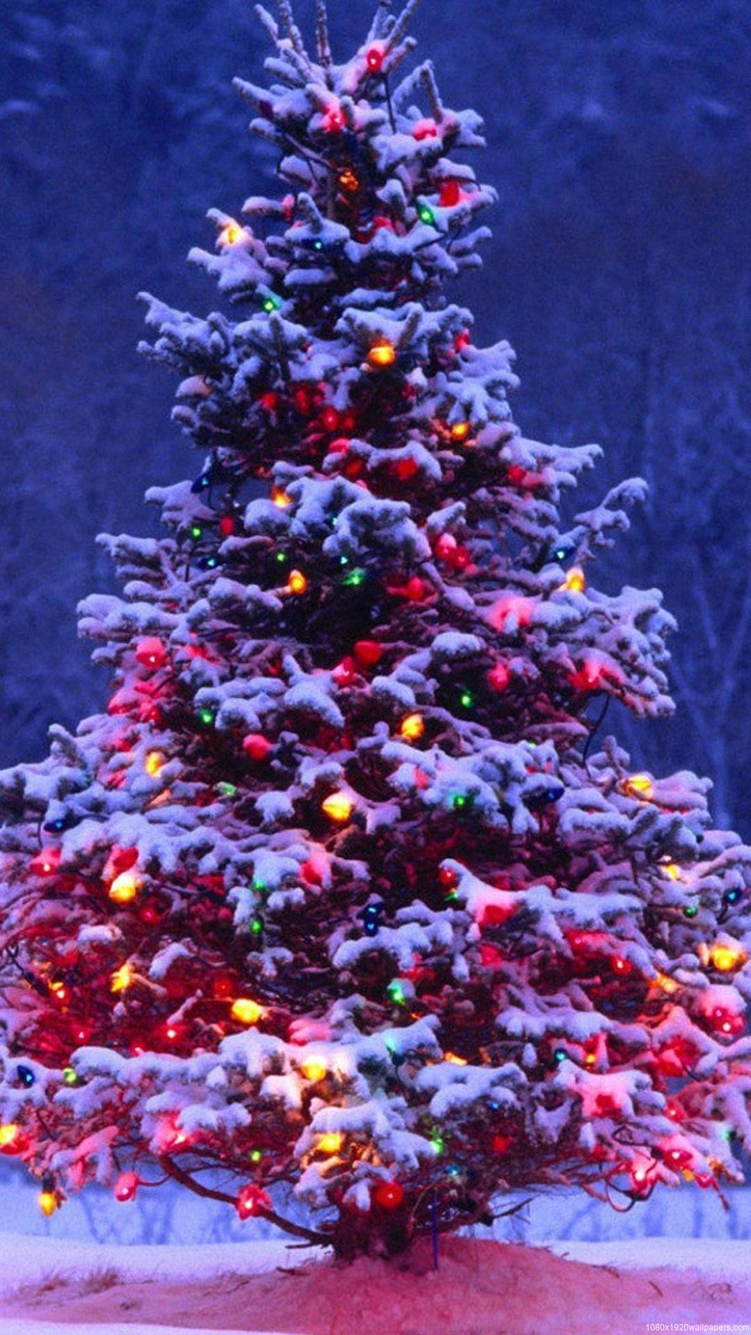 1080x1920 Christmas Tree iPhone Wallpaperipcwallpaper.