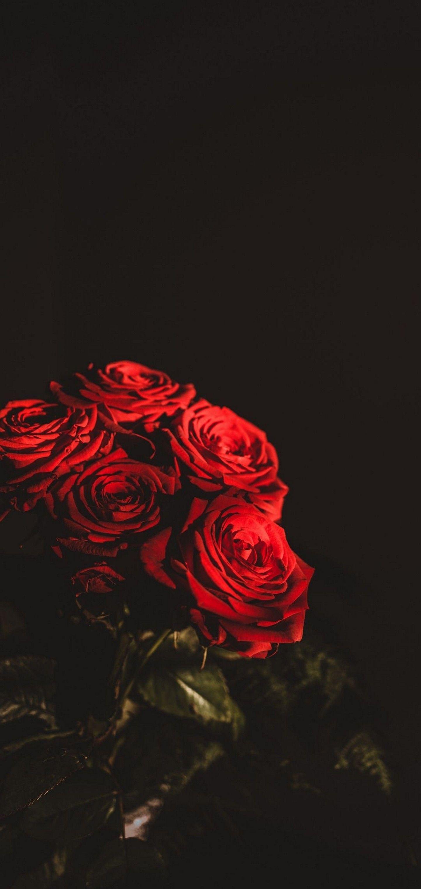1440x3040 Wallpaper Flowers Image