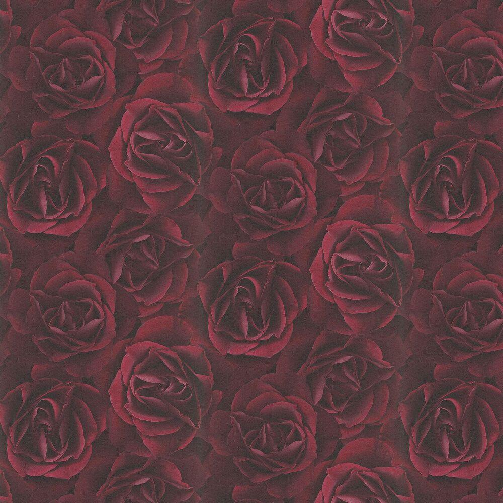 Burgundy Roses Wallpapers - Top Free Burgundy Roses Backgrounds