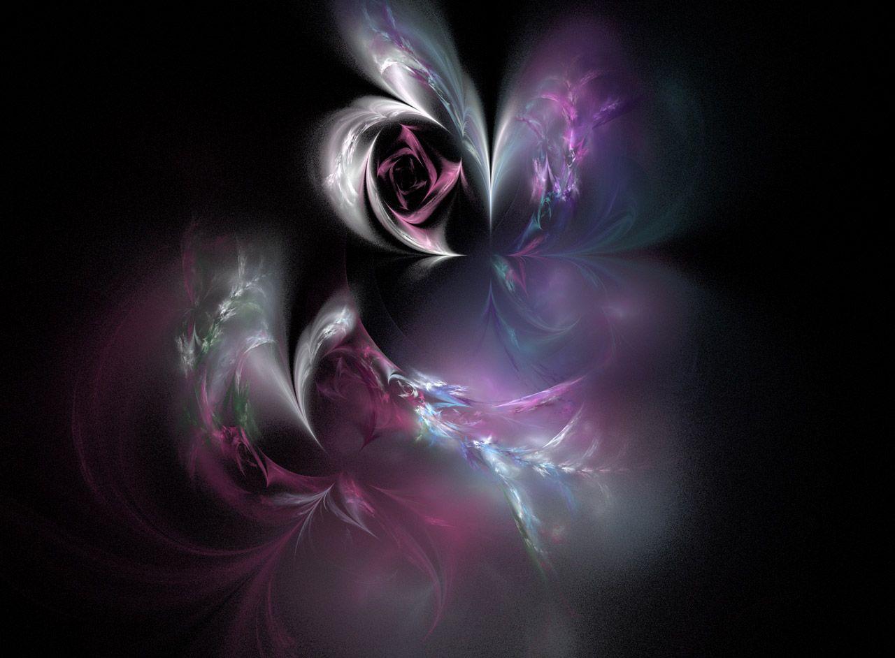 1280x942 Burgundy Rose Free Domain Picture