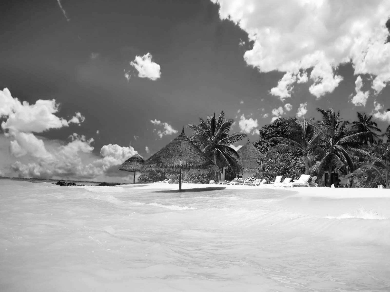 1600x1200 Free download Black and White Wallpaper Black and White Beach Landscape HD [1600x1200] for your Desktop, Mobile & Tablet. Explore Black and White Beach Wallpaper. Black and Red Wallpaper