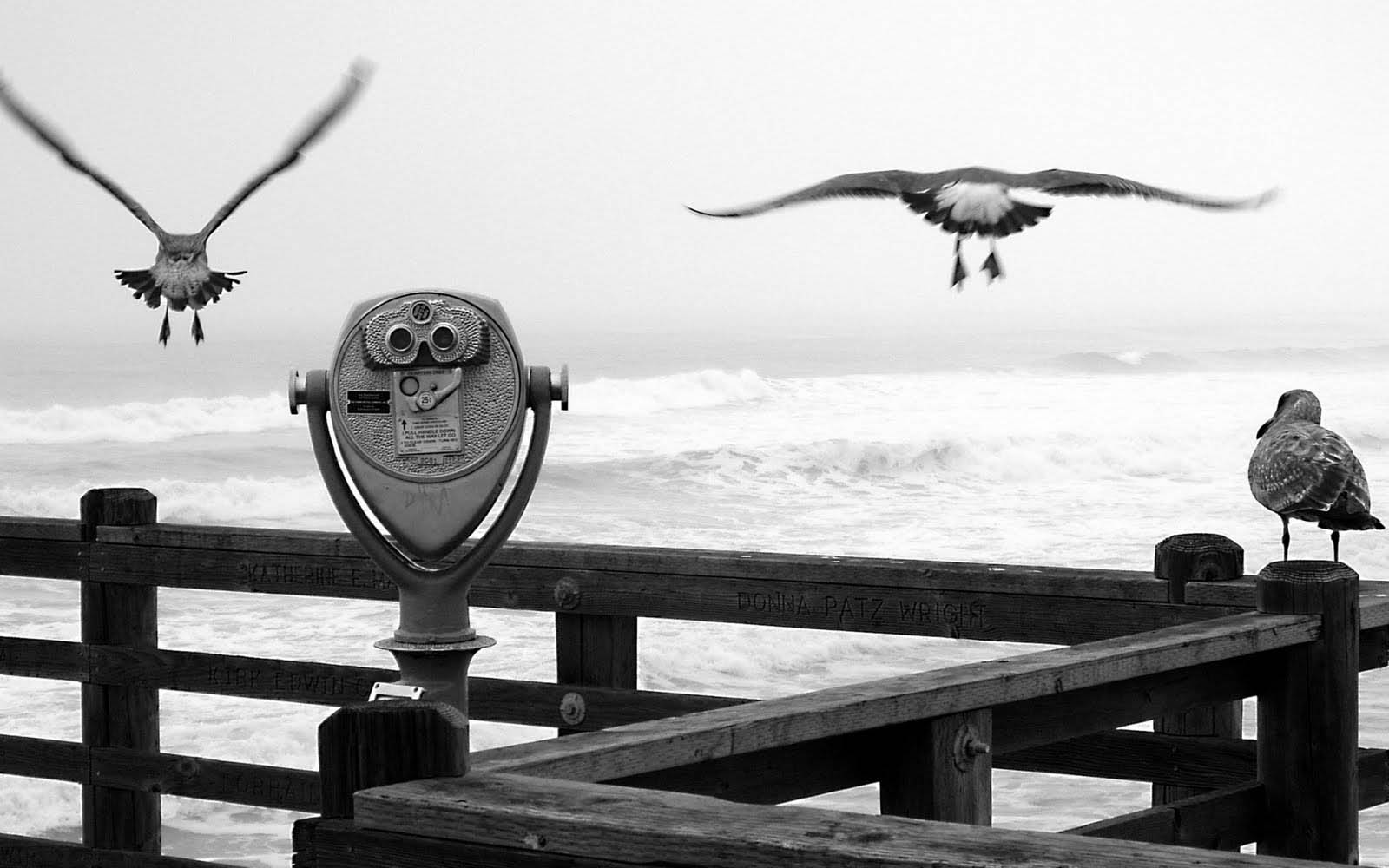1600x1000 Black And White Desktop Background