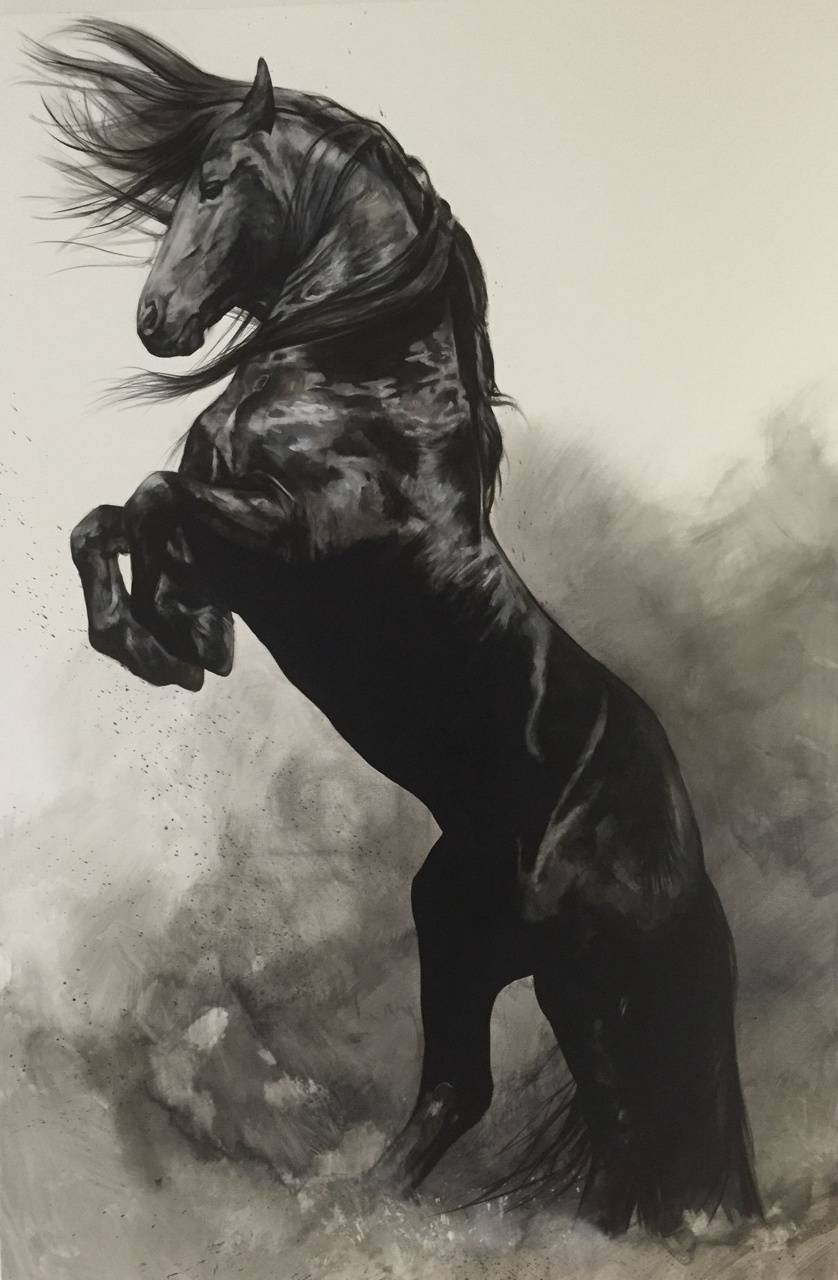 838x1280 Black Horse wallpaper