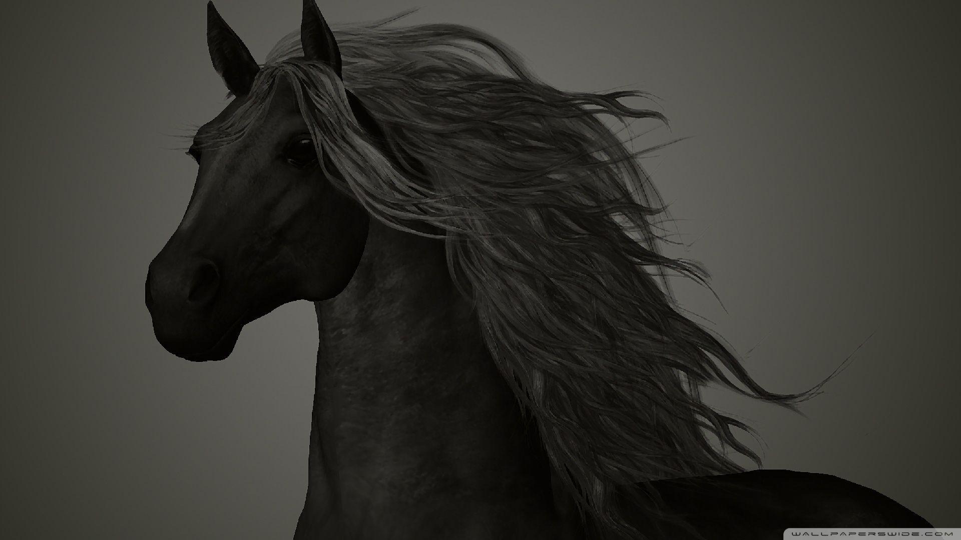1920x1080 Free download Black Horse Wallpaper - in Collection [1920x1080] for your Desktop, Mobile & Tablet. Explore Blackhorse Wallpaper. Blackhorse Wallpaper