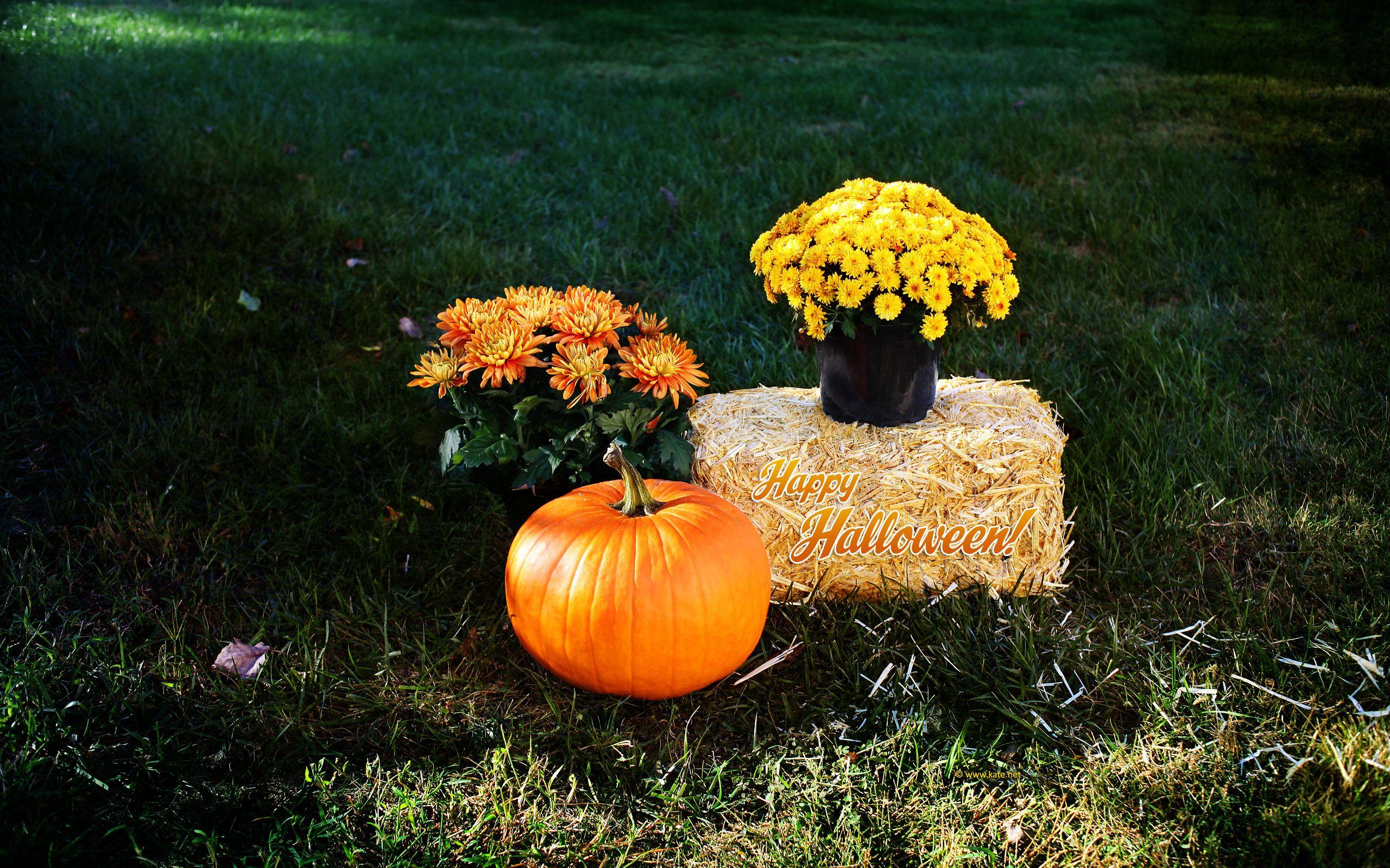 2560x1600 Halloween Wallpaper, Halloween Desktop Background on