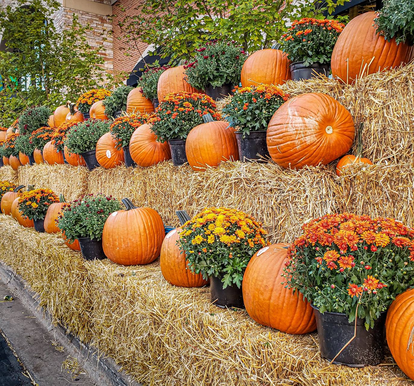 1373x1280 Pumpkins and flowers wallpaper