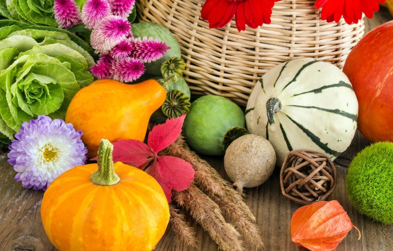 1332x850 Pumpkins And Basket Wallpaper