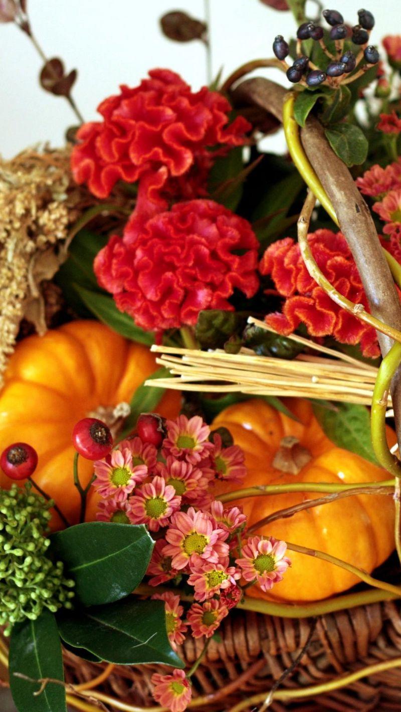800x1420 Download Wallpaper 800x1420 Amaranth, Flowers, Basket, Pumpkin, Berries, Composition Iphone Se 5s 5c 5 For Parallax HD Background