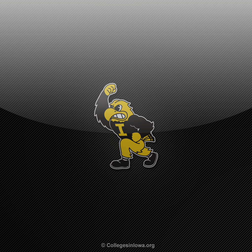 Iowa Hawkeye Wallpapers - Top Free Iowa Hawkeye Backgrounds ...