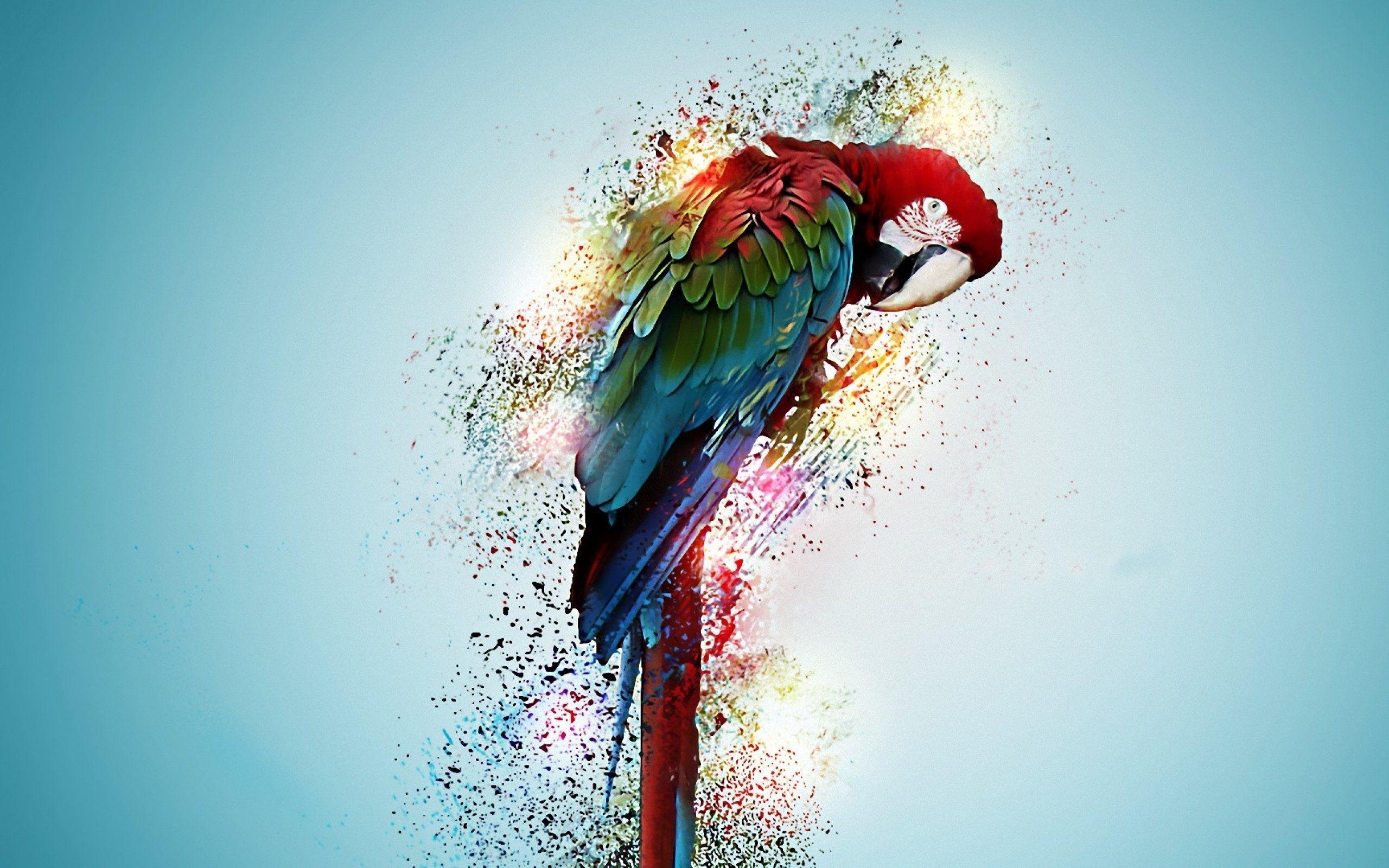 2560x1600 Love Bird Animal Digital Art Wallpaper HD Wallpaper