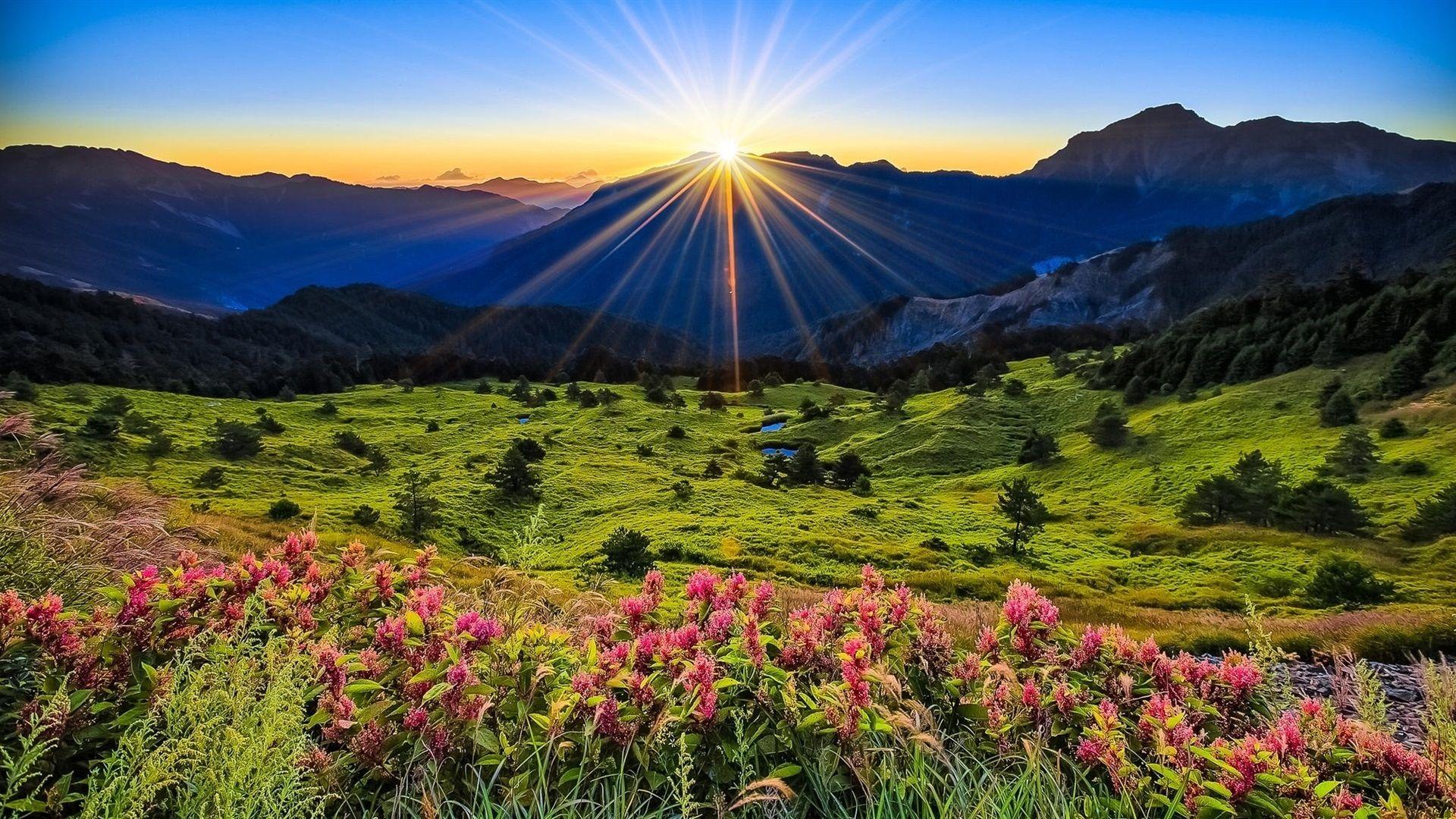 1920x1080 Mountains, meadow, sunrise, flowers, beautiful scenery wallpaper