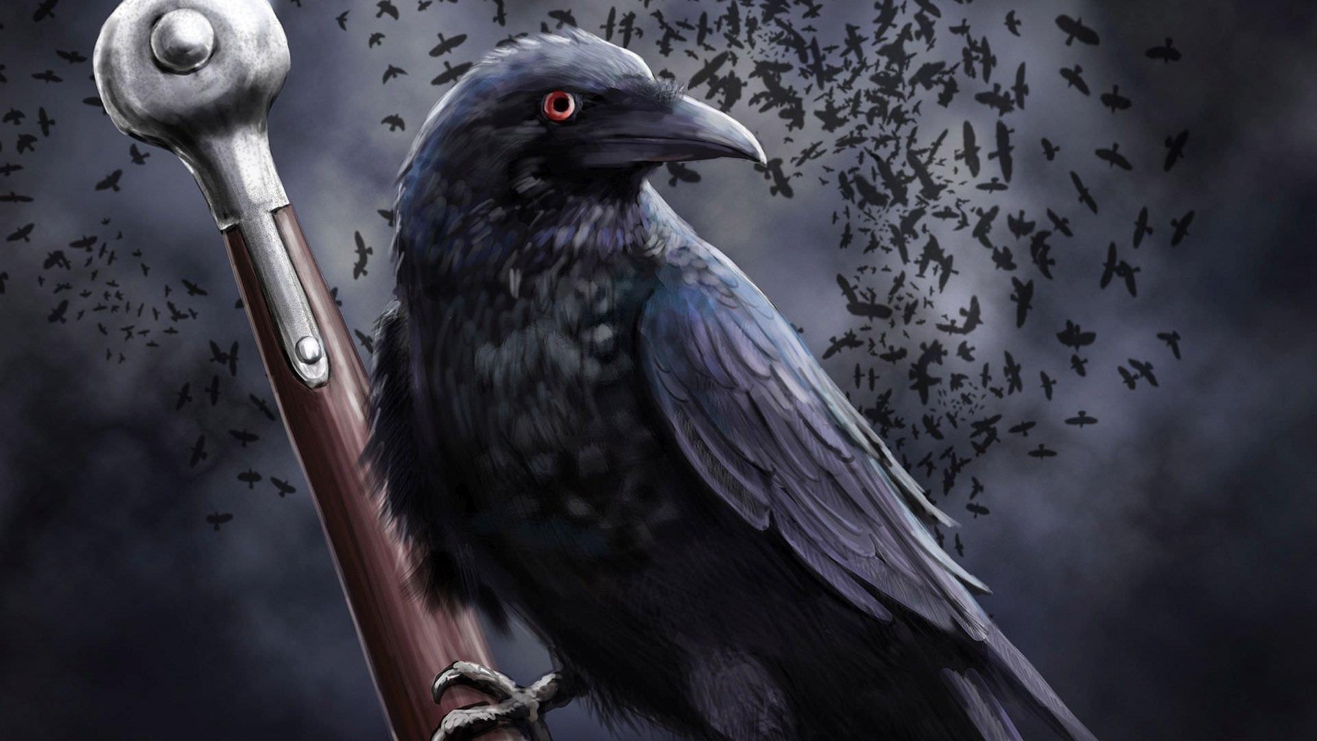 1920x1080 Raven Wallpaper for Android