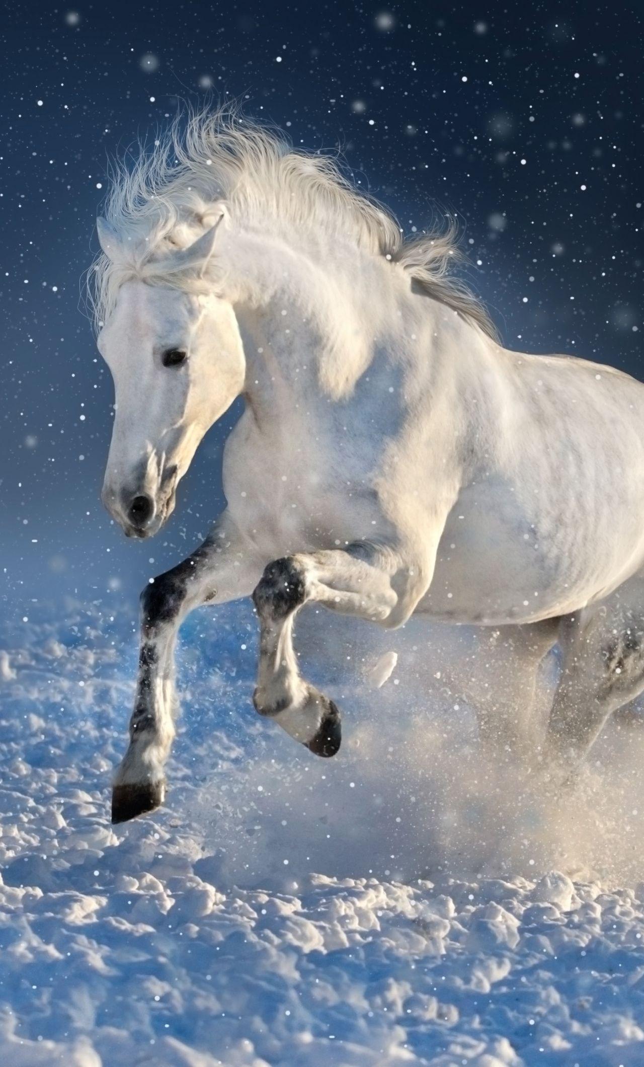 1280x2120 White Horse, Run, Mammal, Portrait, Wallpaper 7 Horse Wallpaper iPhone