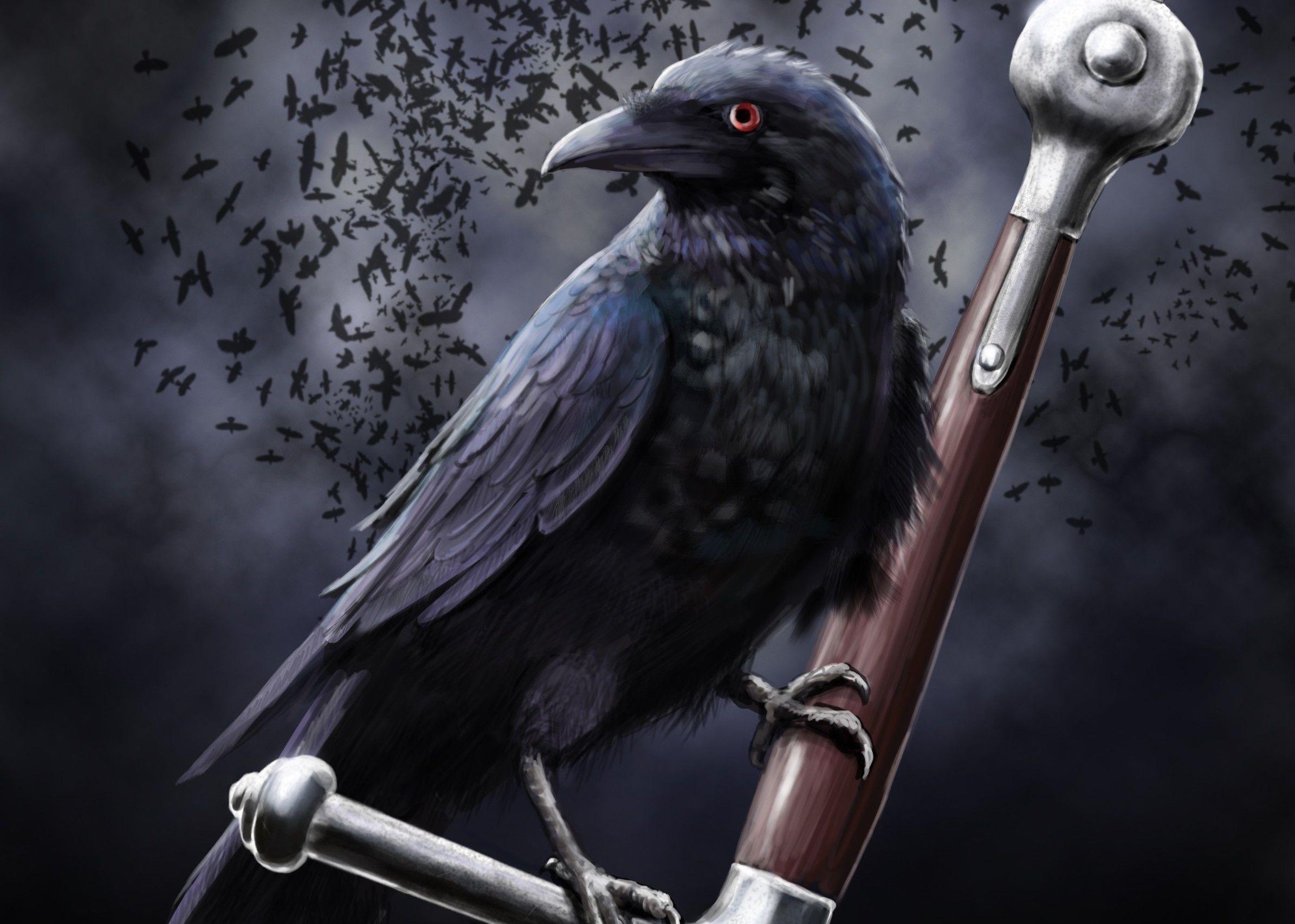 2390x1705 Ravens Desktop Wallpaper
