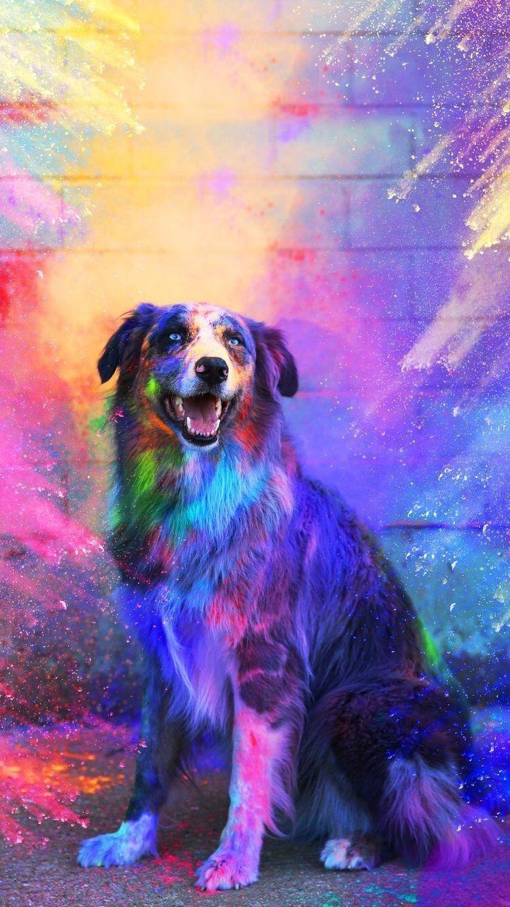 Cute Dog Art Wallpapers Top Free Cute Dog Art Backgrounds WallpaperAccess