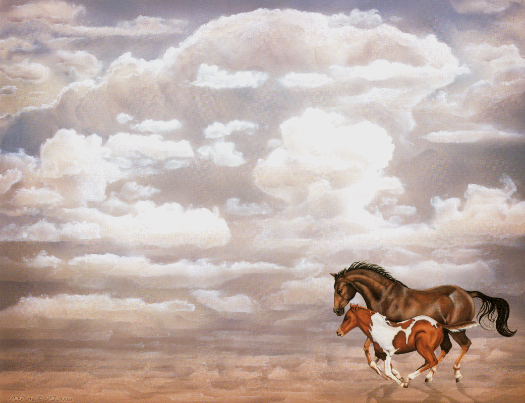 1041x800 Horses.gif Ranch Bonaire