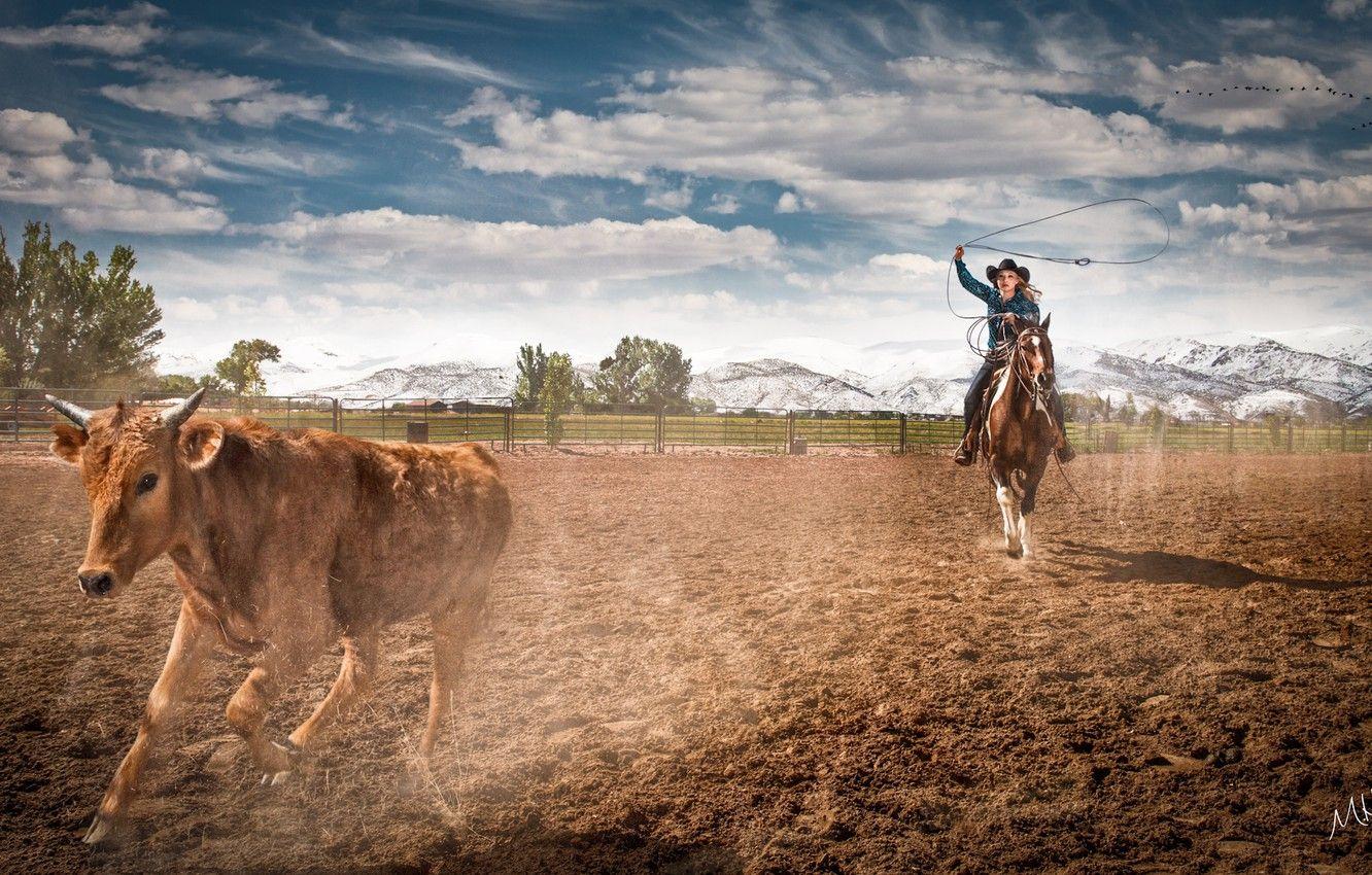 Ranch Backgrounds For Computer