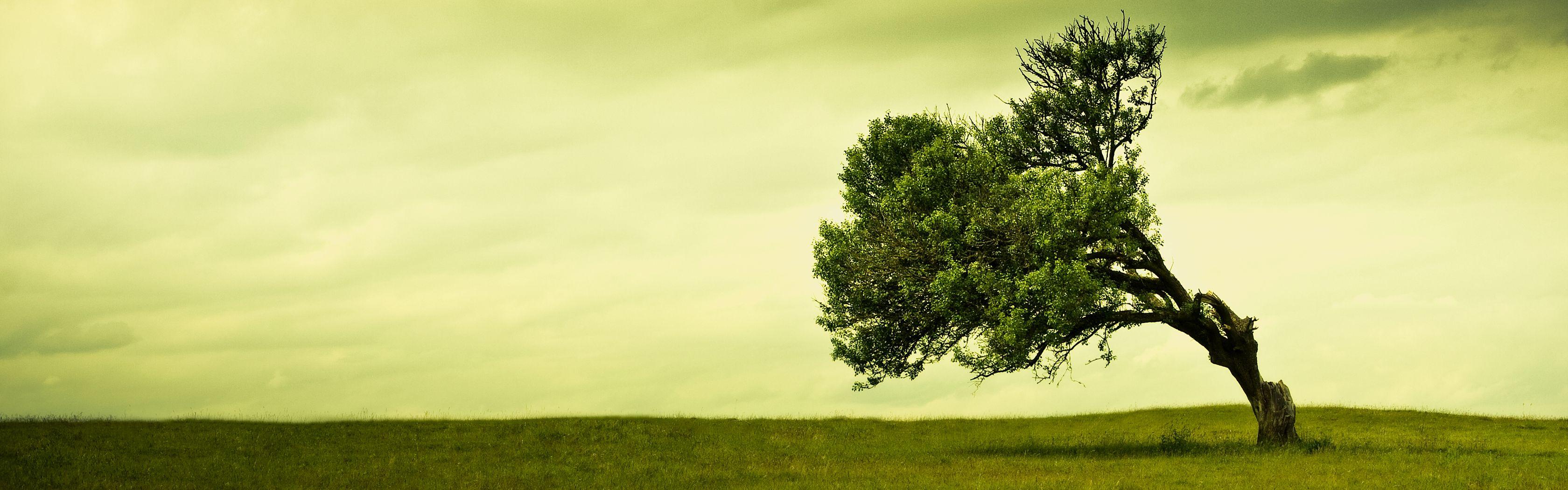 3360x1050 InterfaceLIFT: 3360x1050 Wallpaper sorted