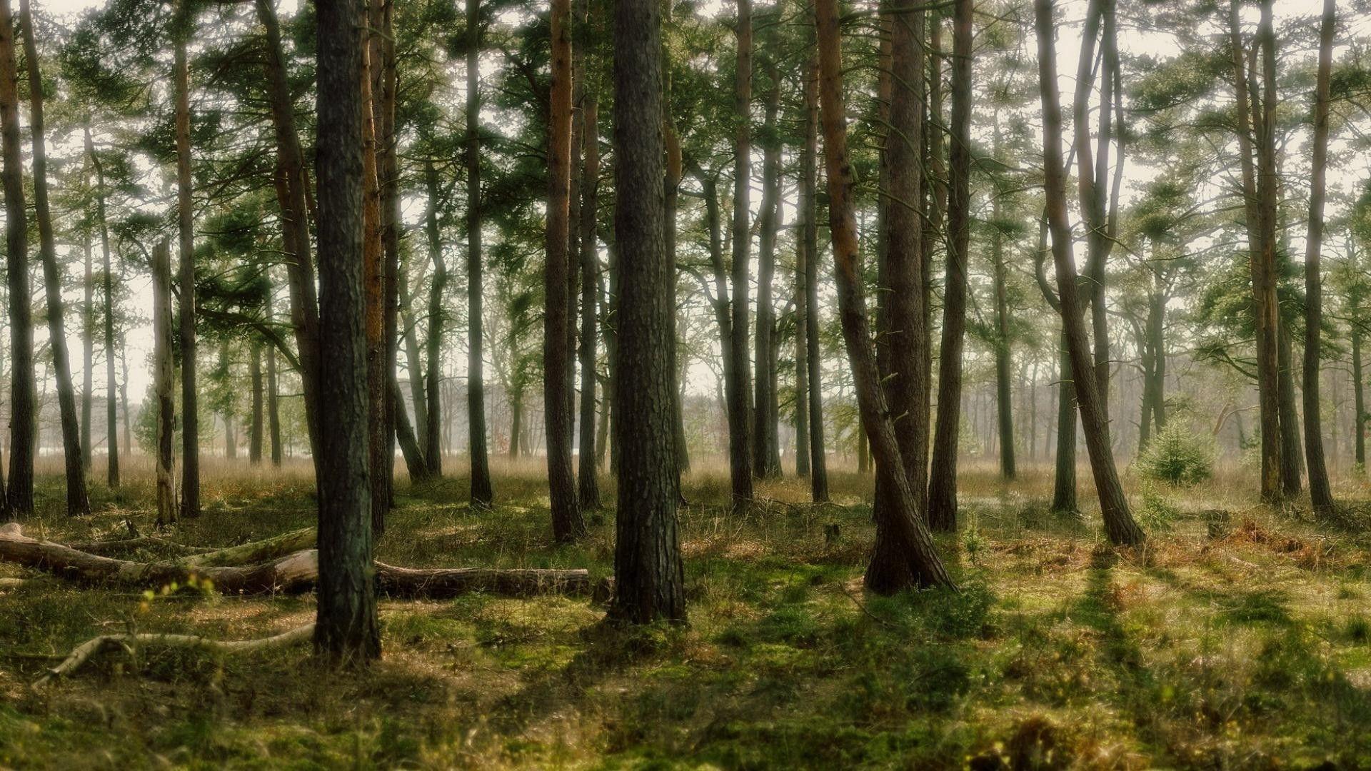 1920x1080 Dual Monitor Wallpaper 3360x1050