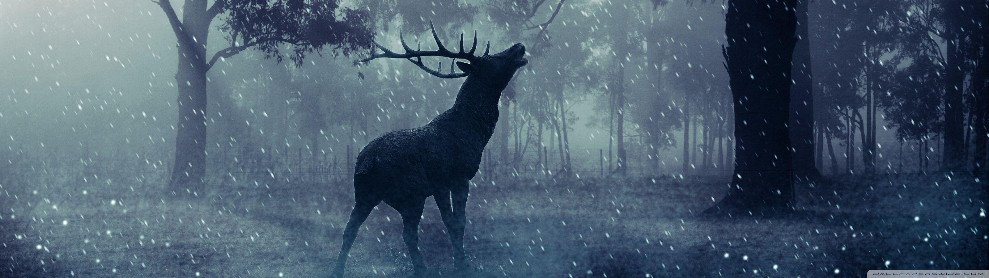 3200x900 Dual Screen Wallpaper Deer HD Wallpaper