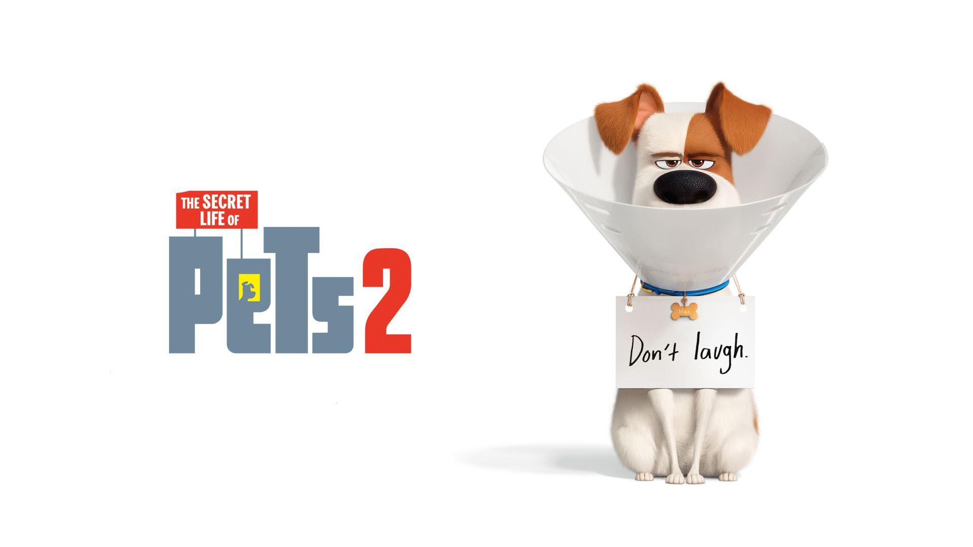 1920x1080 Cartoon poster The Secret Life of Pets 2 Desktop wallpaper 1920x1080