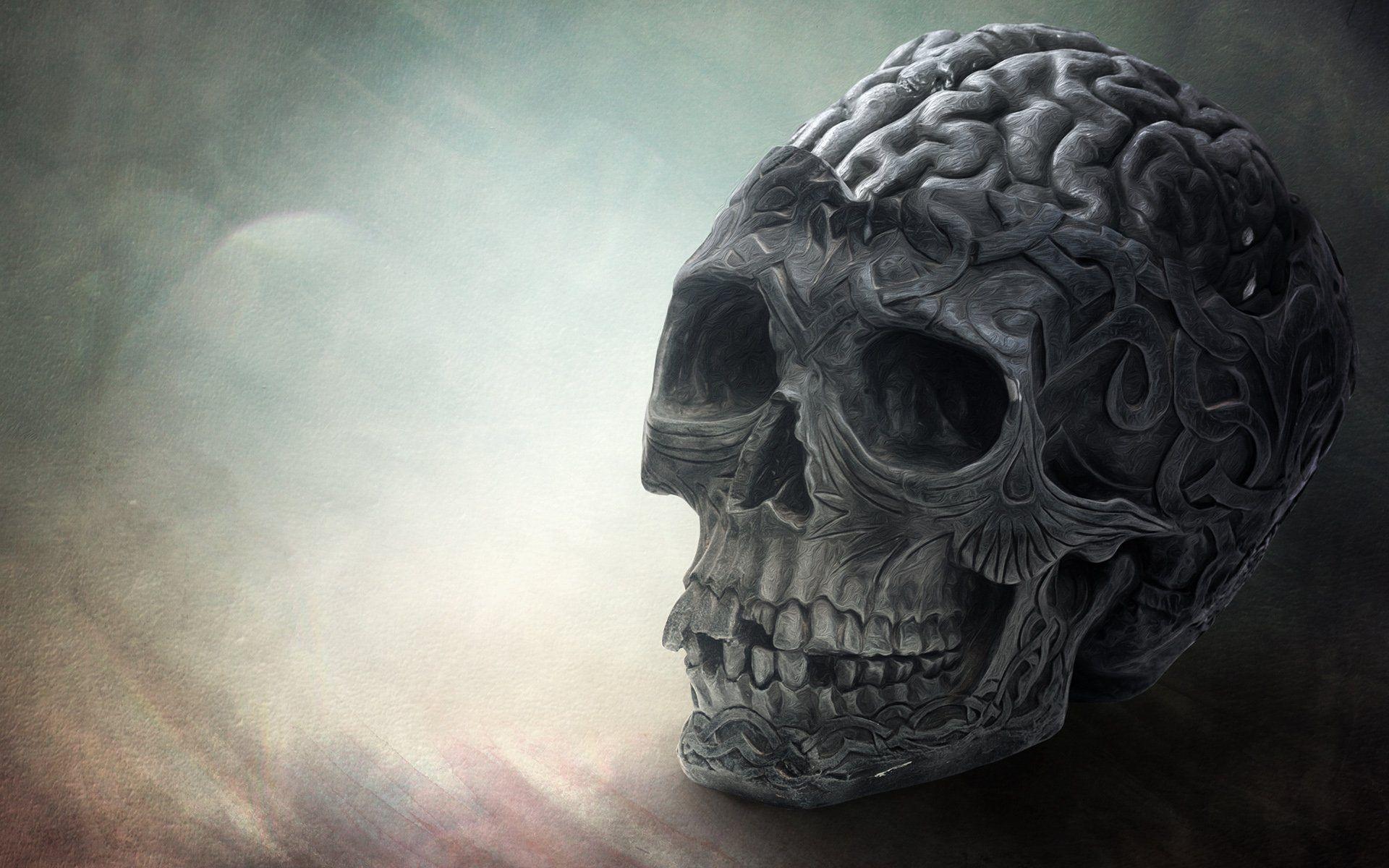 1920x1200 Brain Wallpaper HD