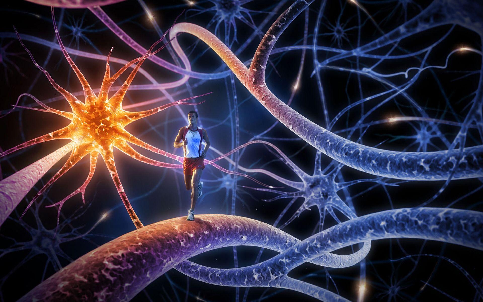 1920x1200 Man Running Inside Brain