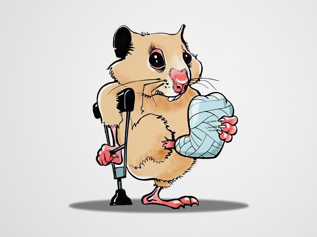 1024x768 Fun Humor Funny Hamster Cartoon Drawing IPhone HD Wallpaper Free