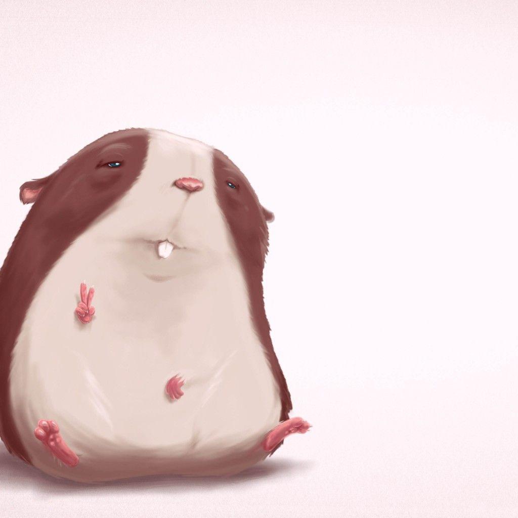 1024x1024 Funny Hamster Wallpaper