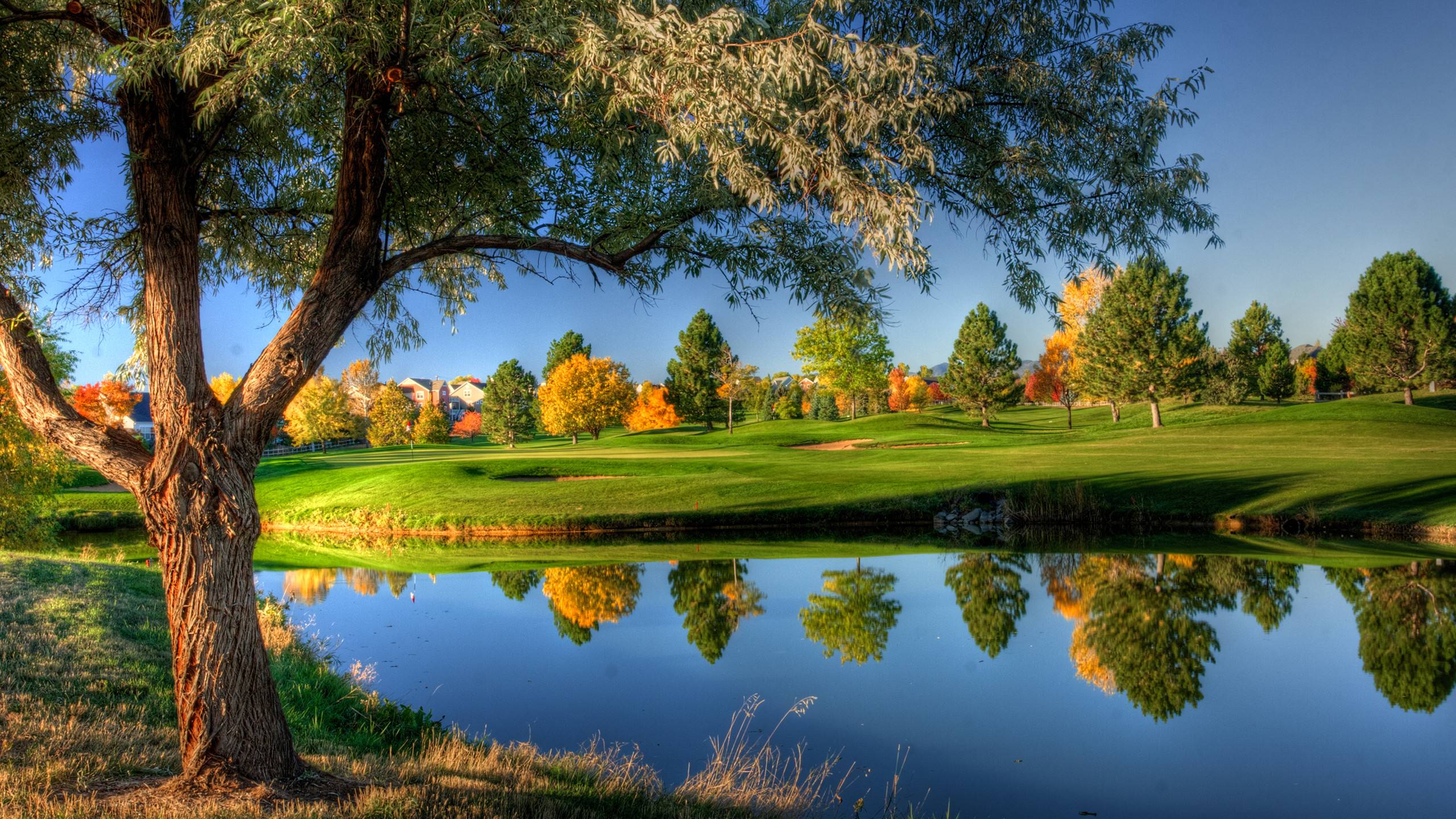 2560x1440 Nature Wallpaper. Beautiful Nature Wallpaper, Awesome Nature Wallpaper and Pretty Nature Wallpaper