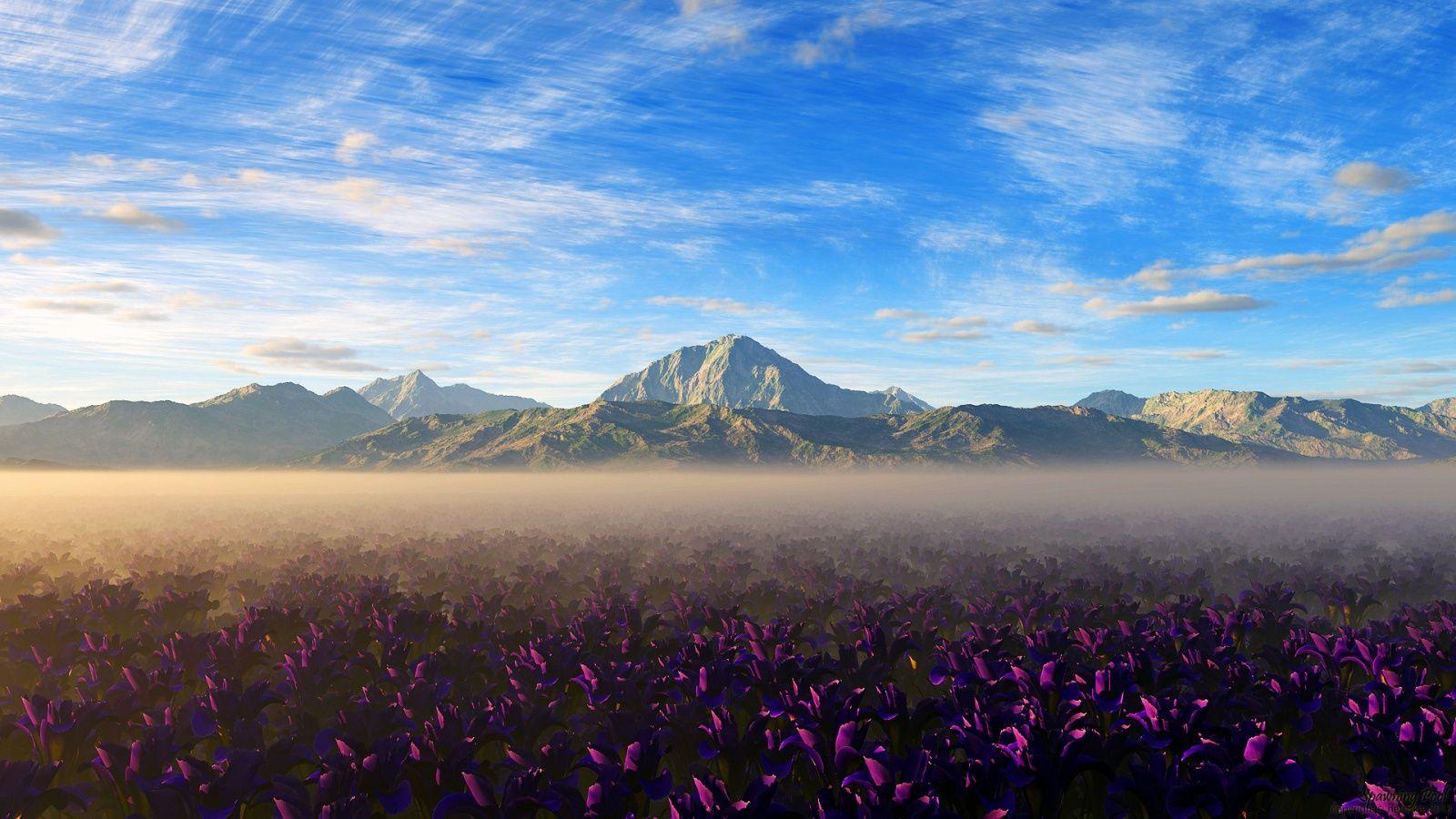 1600x900 Colors of Nature Wallpaper in jpg format for free download