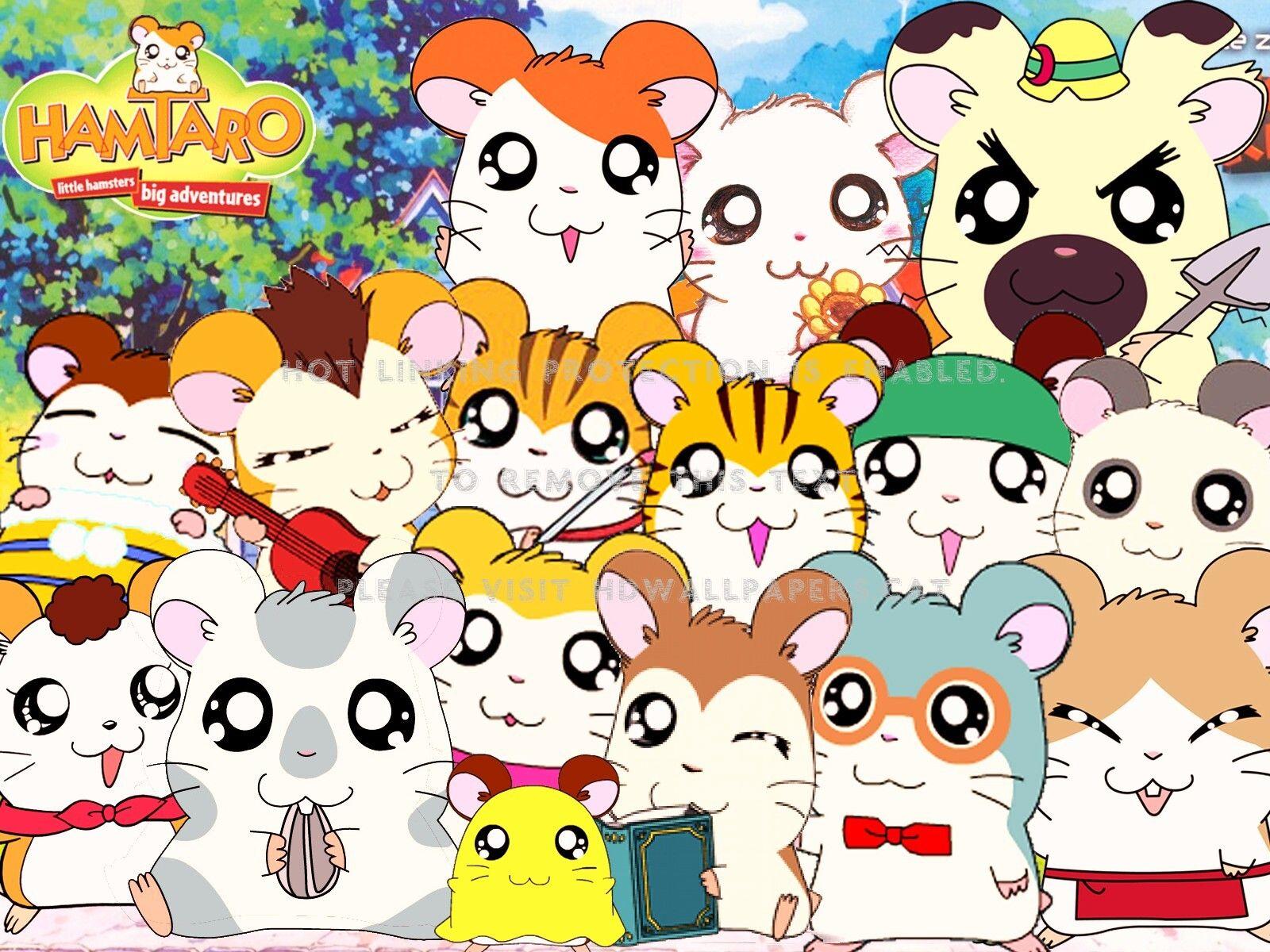 1600x1200 hamtaro anime hamster cartoon