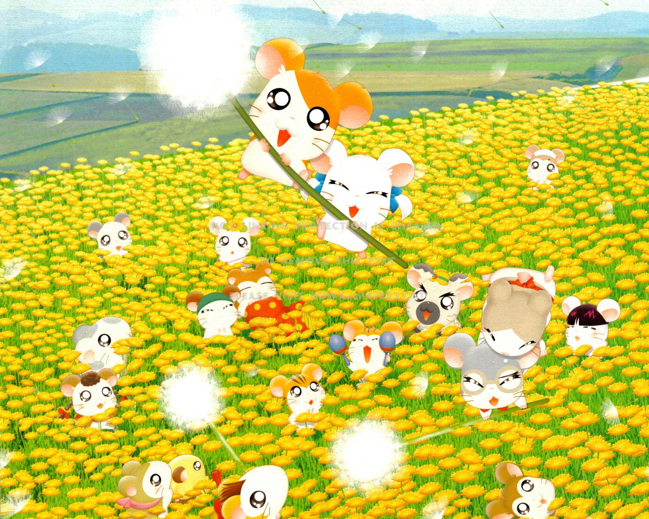 2560x2048 dandelion field hamster hamtaro cartoon