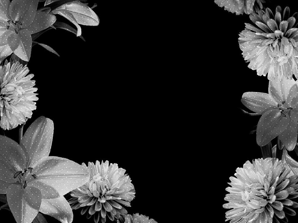 1024x768 Black Flowers Wallpaper
