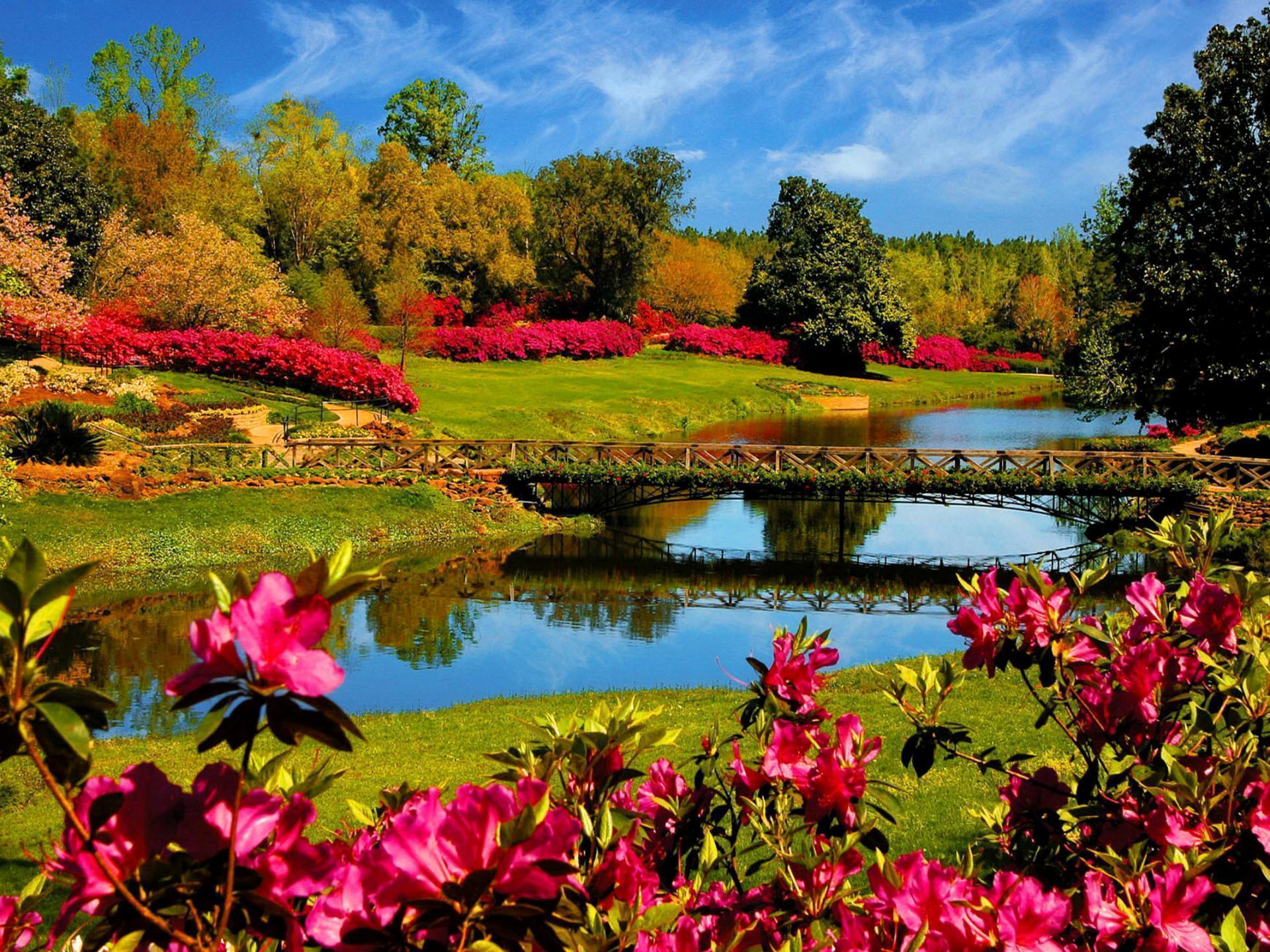 1920x1440 Colorful Nature Wallpaper