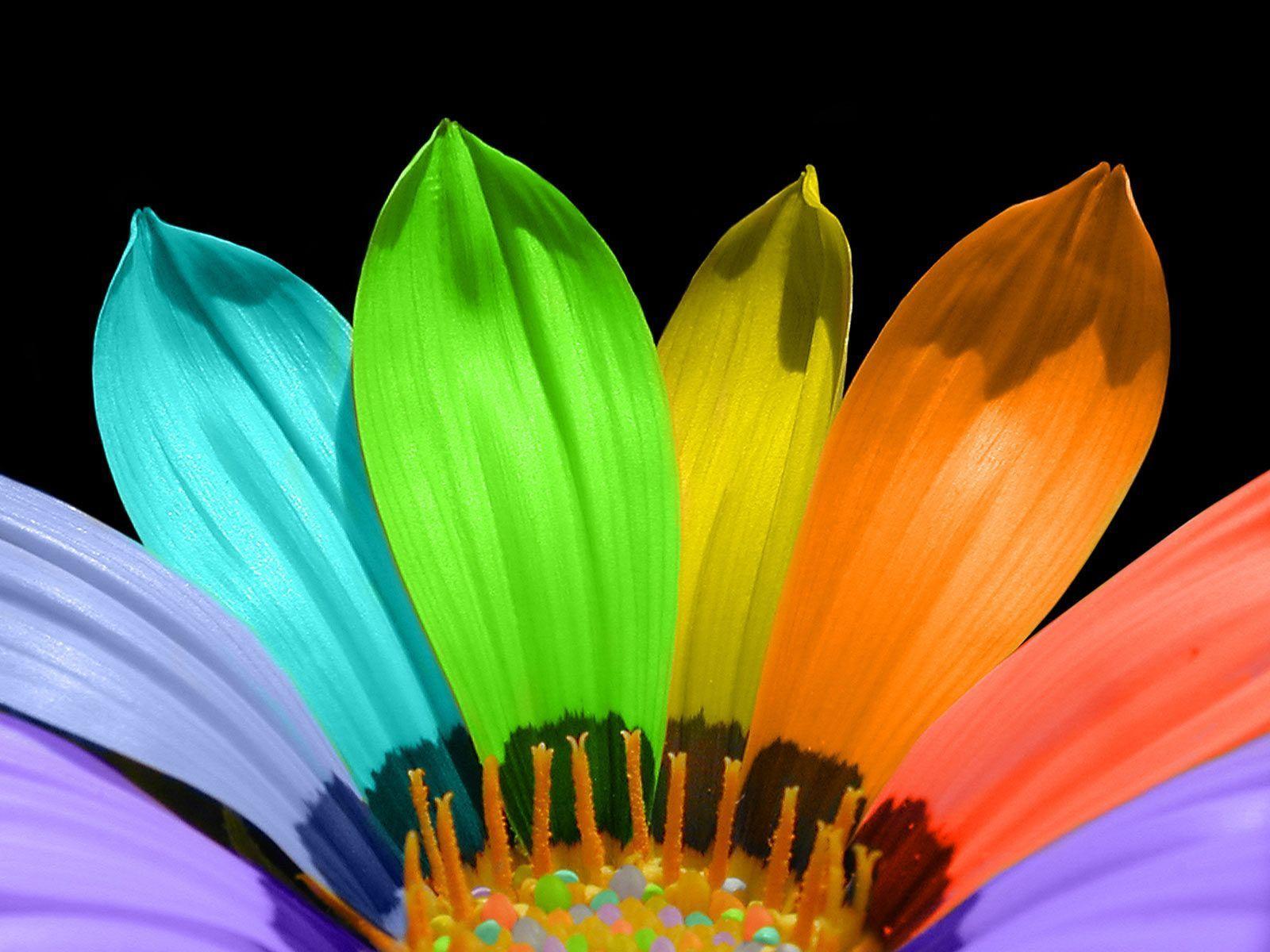 1600x1200 Rainbow Desktop Wallpaper