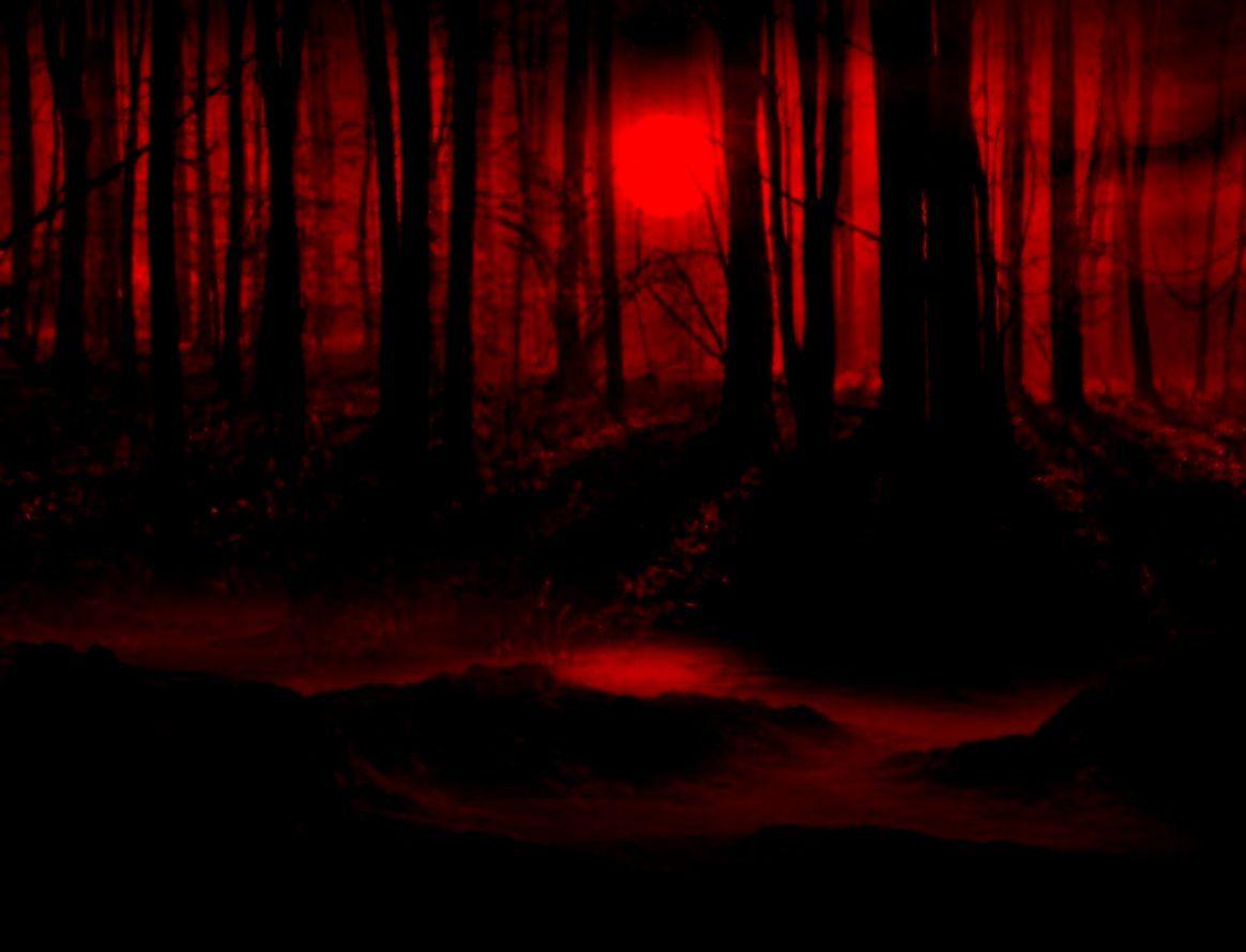 1164x890 Dark Red HD Wallpaper Movie HD Wallpaper Cats Dark Forest Background