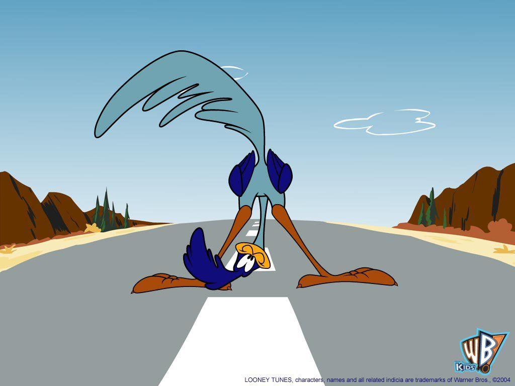 1024x768 Road Runner Cartoon Wallpaper