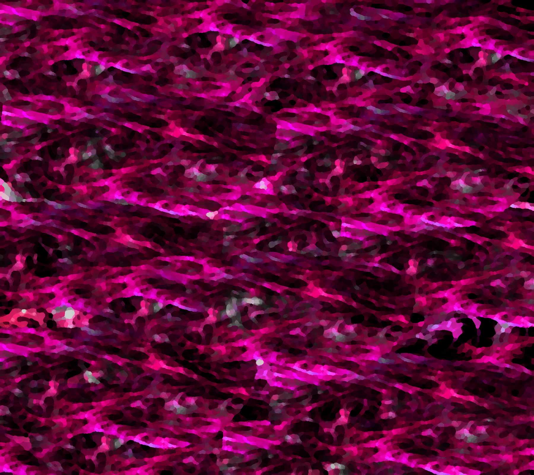 1800x1600 Hot Pink Wallpaper