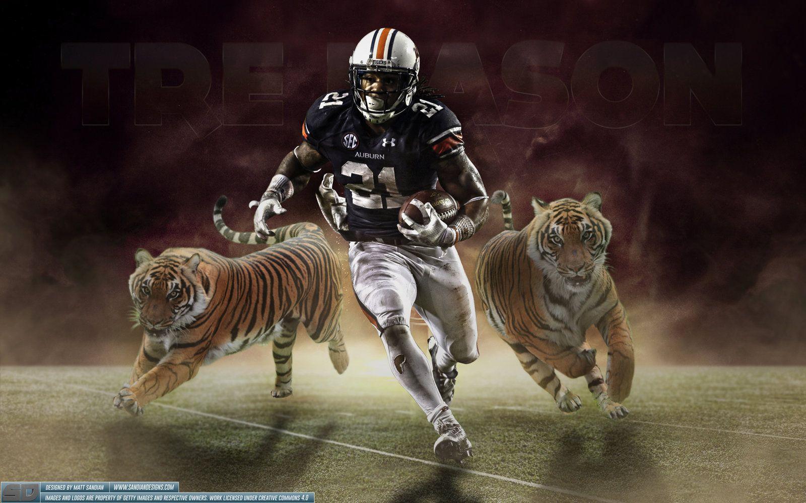 1600x1000 Auburn Tigers Wallpaper Wallpaper Lovely